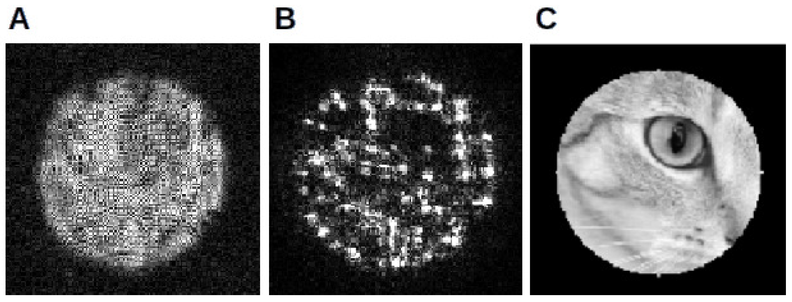 Condensedmatter 06 00036 g005