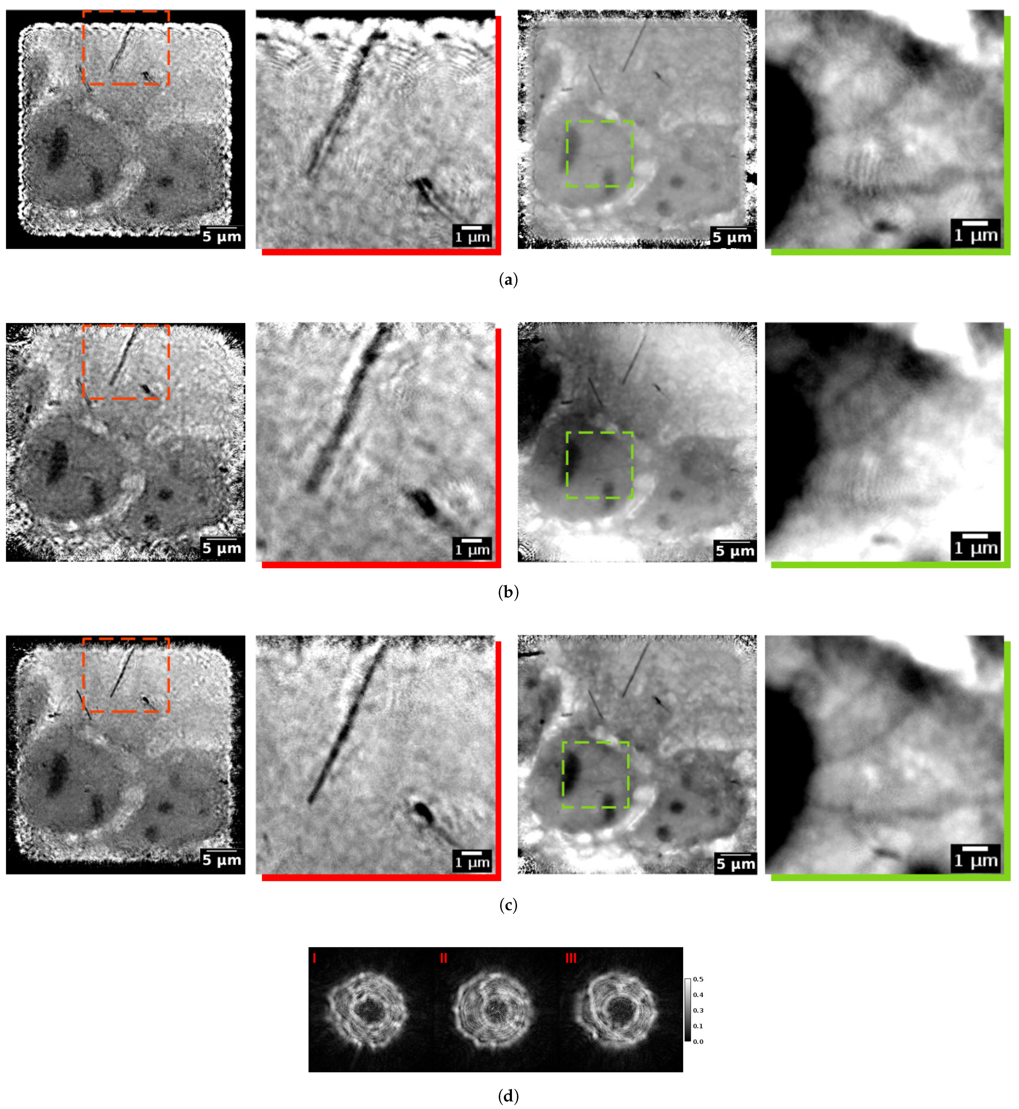 Condensedmatter 06 00036 g007