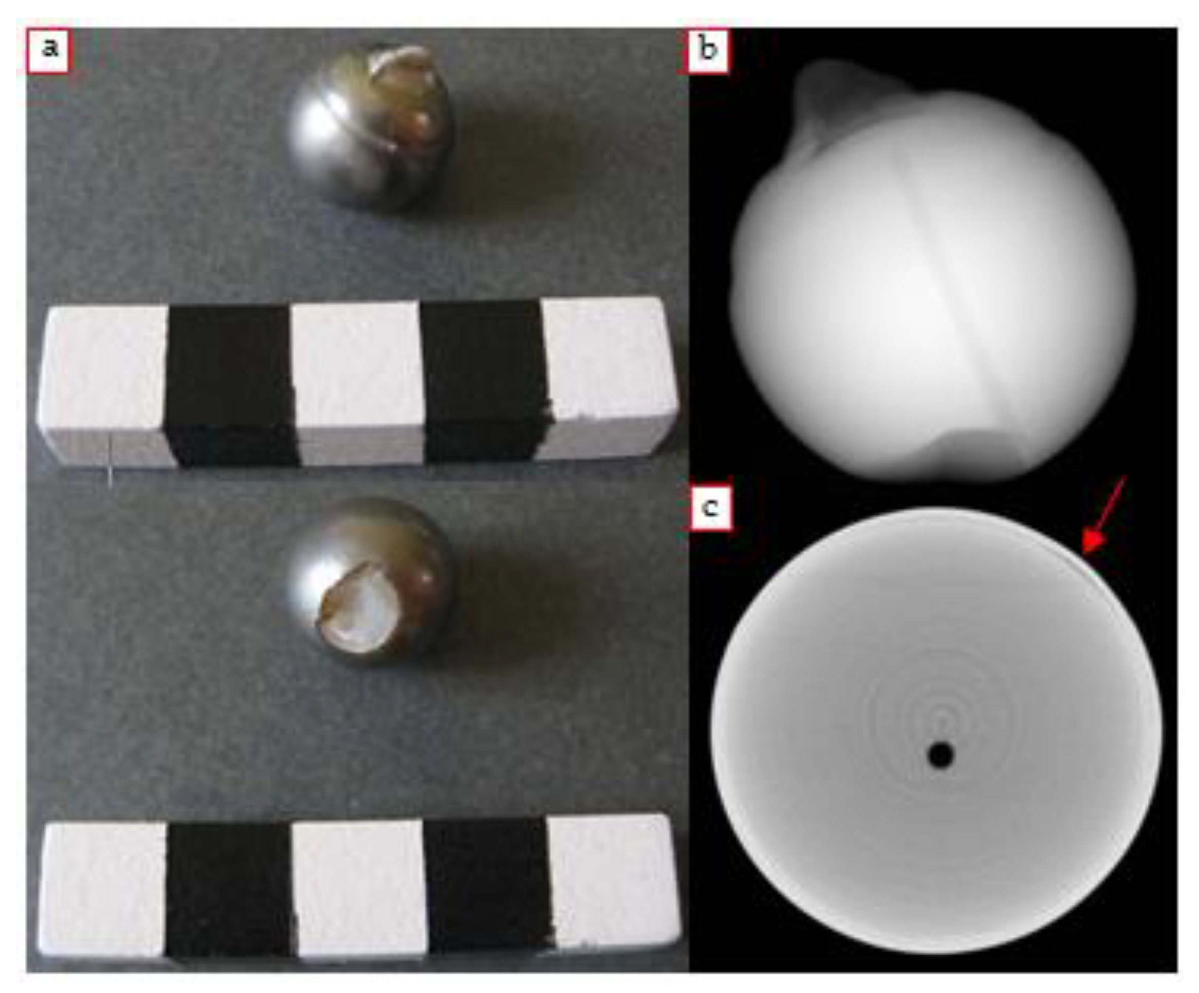 Condensedmatter 06 00051 g010 Condensedmatter 06 00051 g010