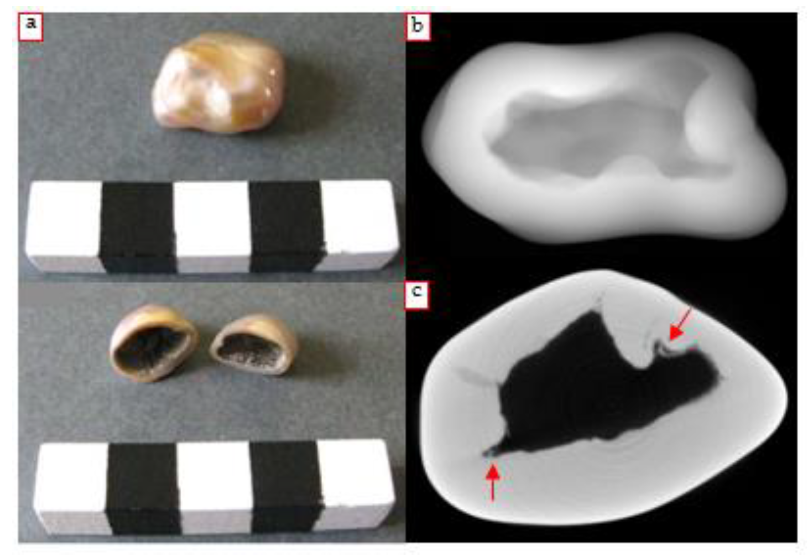 Condensedmatter 06 00051 g015 Condensedmatter 06 00051 g015