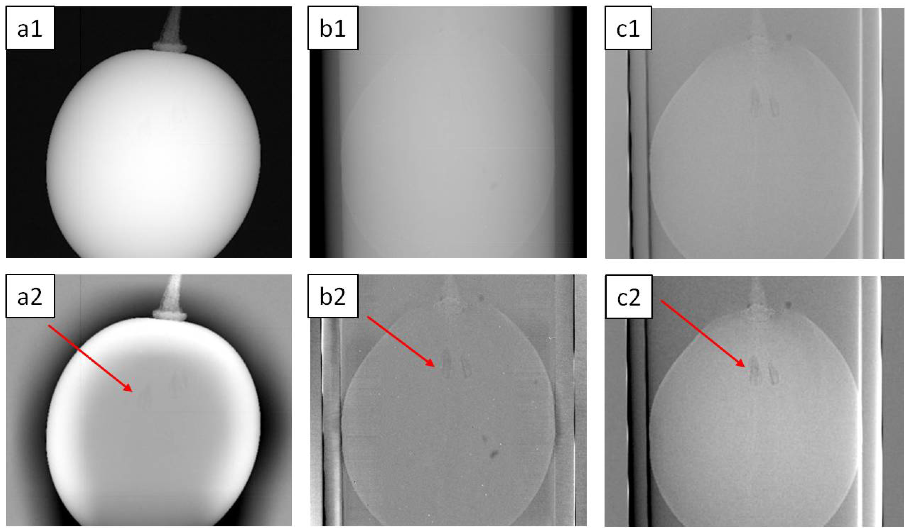 Condensedmatter 07 00003 g004 550