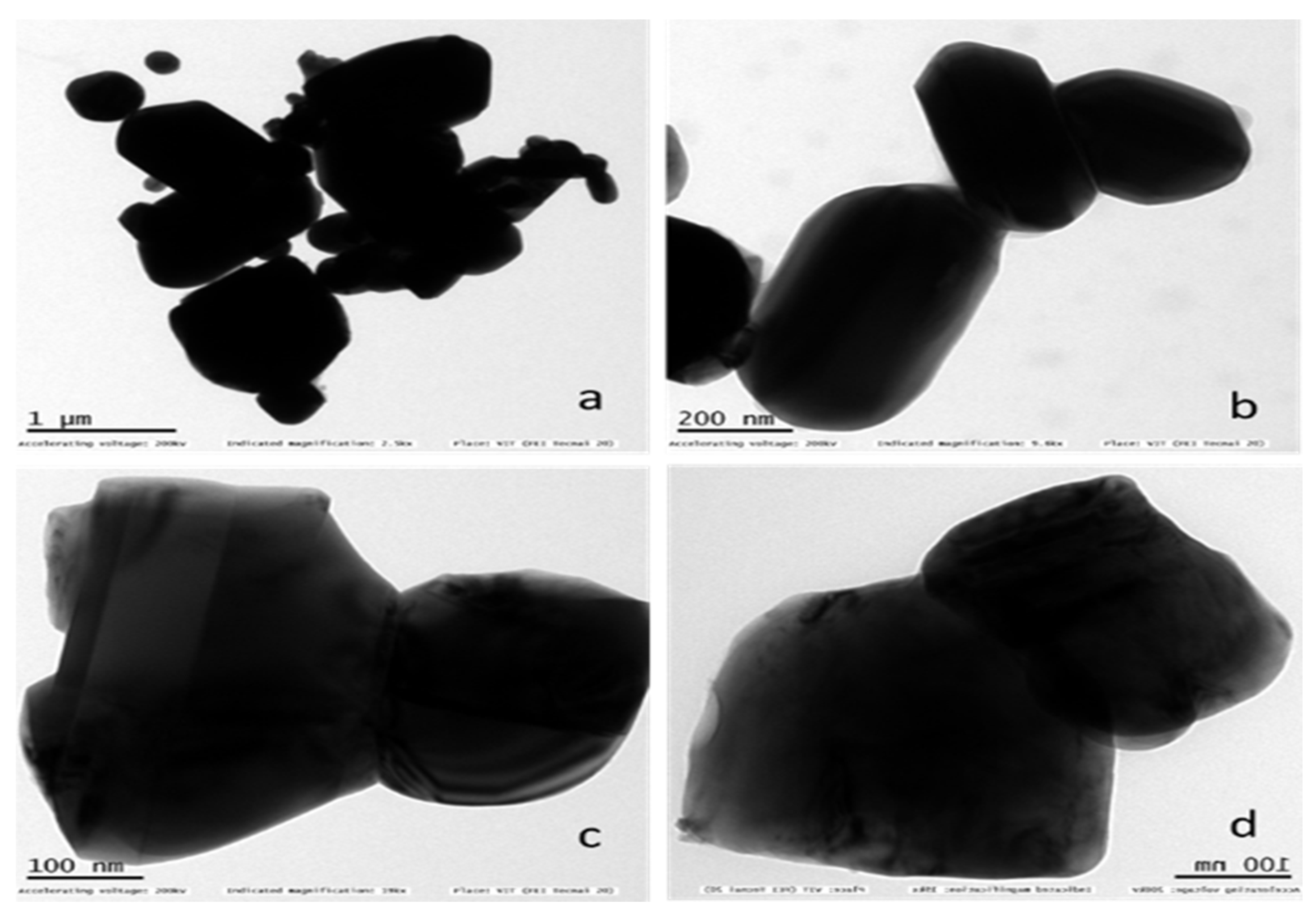 Condensedmatter 07 00020 g006