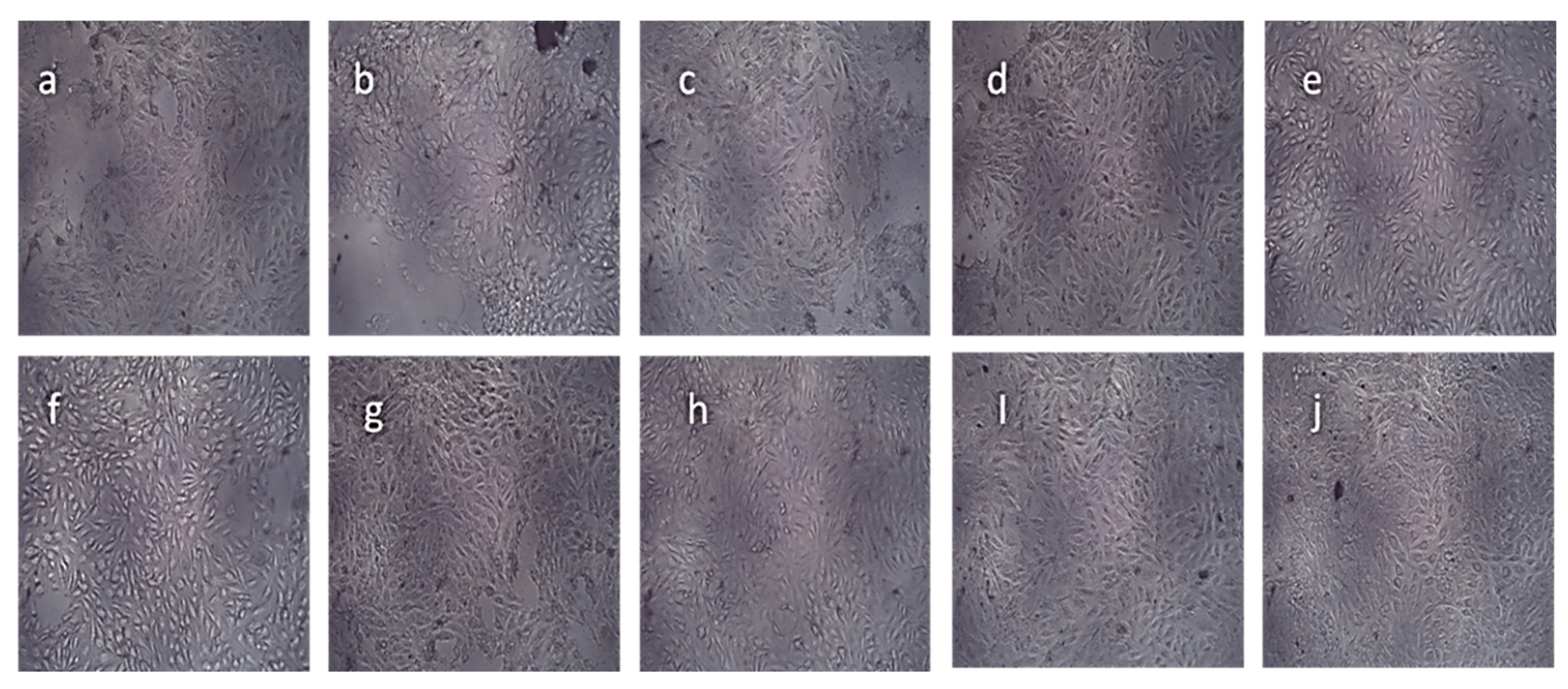 Condensedmatter 07 00020 g012