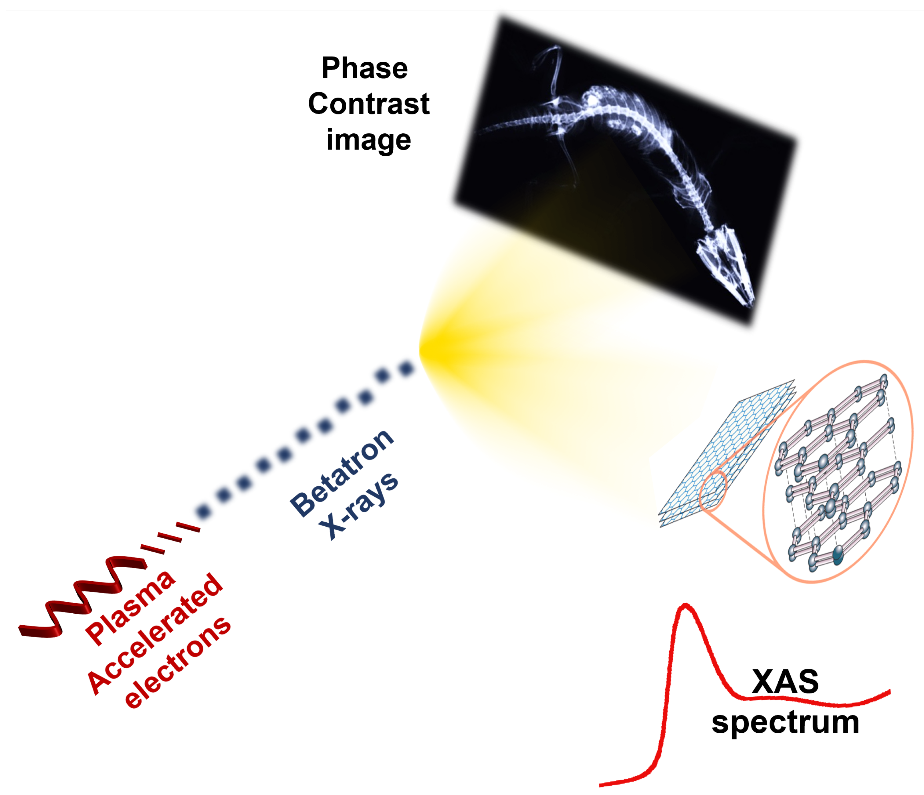 Condensedmatter 07 00023 g003 550