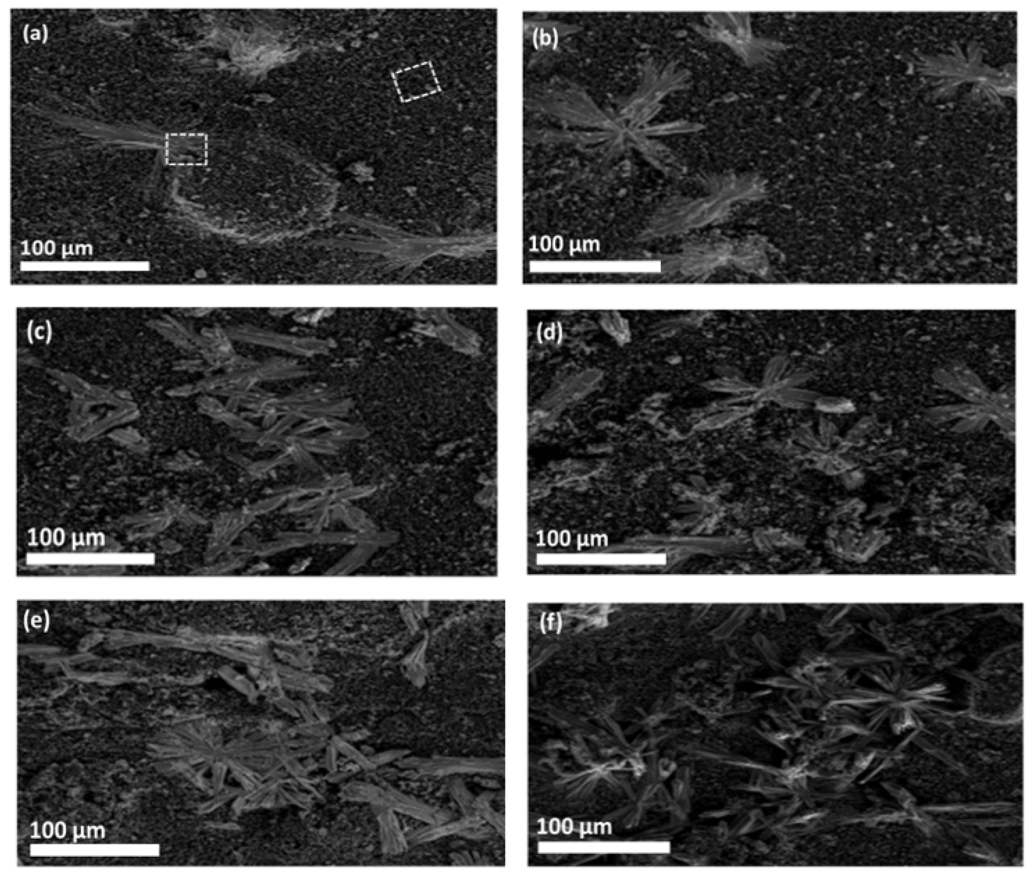 Condensedmatter 07 00039 g002