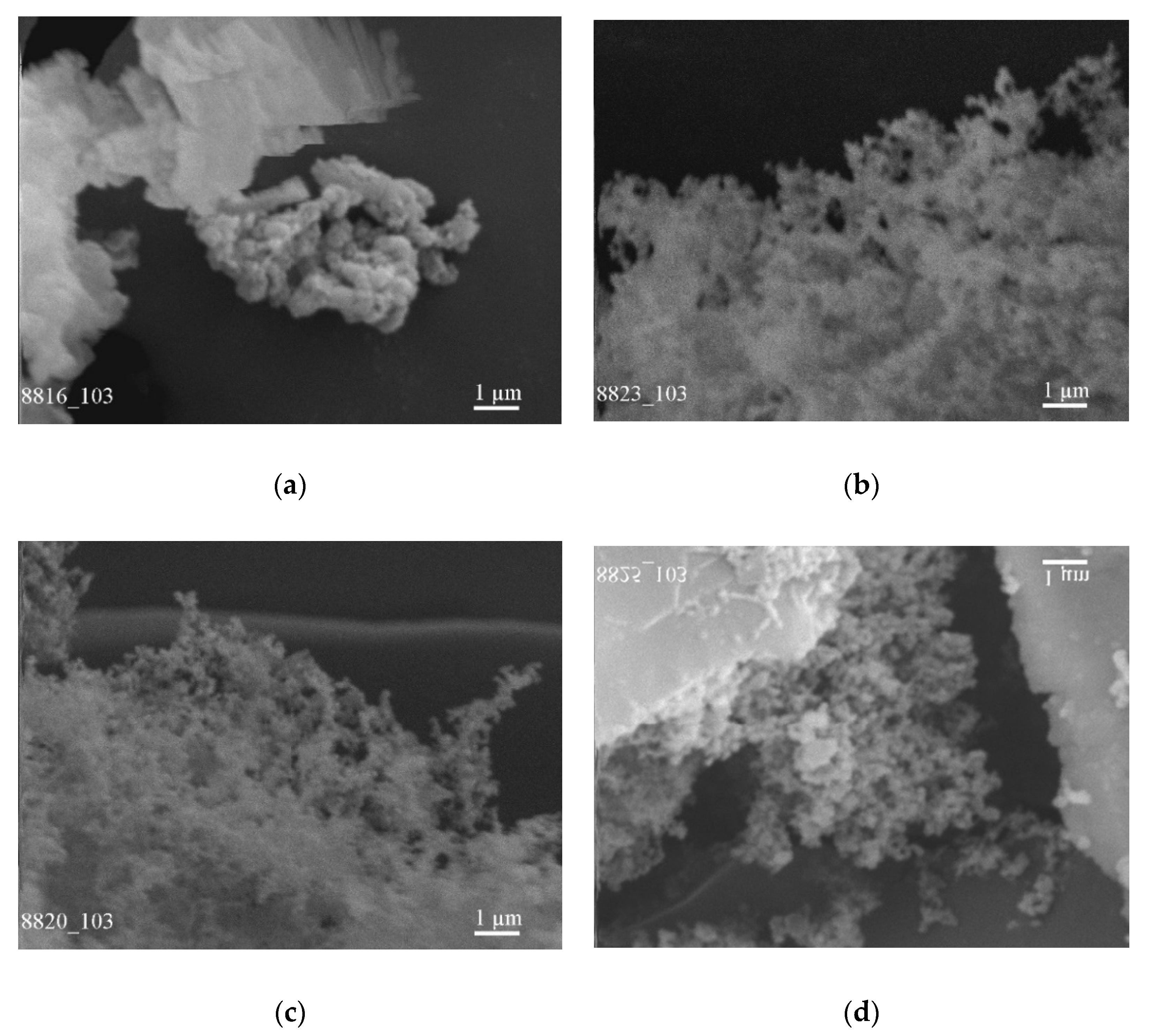 Condensedmatter 07 00042 g006 550