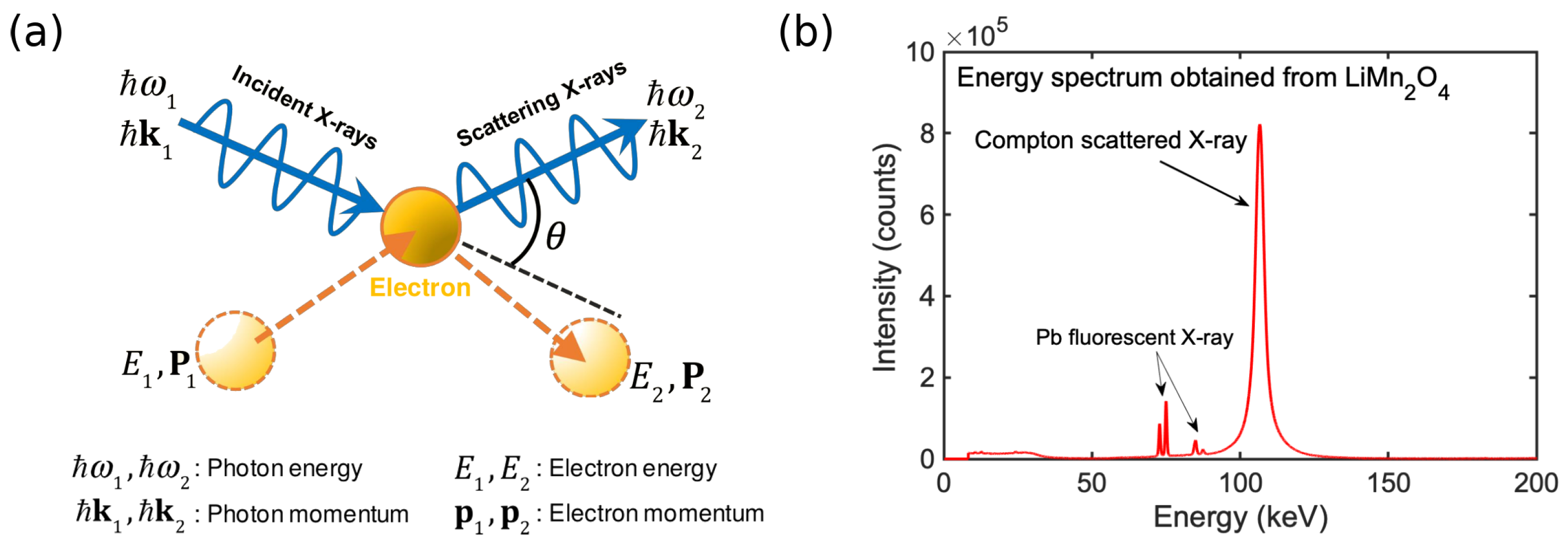 Condensedmatter 07 00047 g001