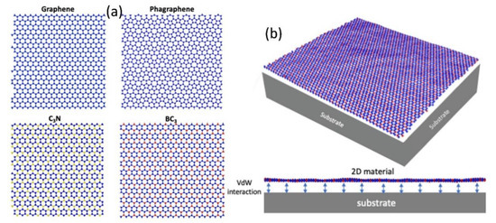 Substrate Effect on the Thermal Expansion of 2D Materials: An 