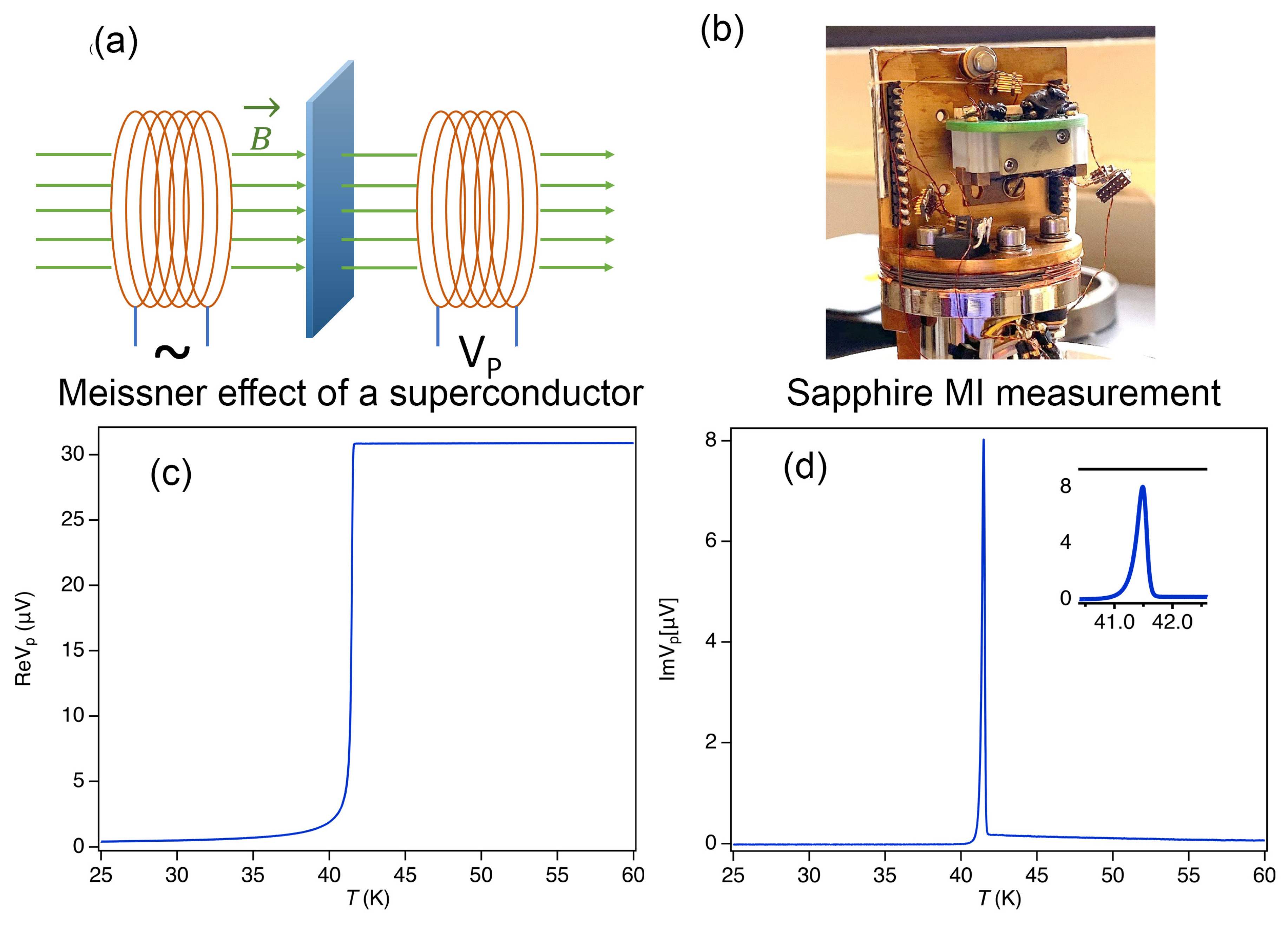 Condensedmatter 08 00013 g008