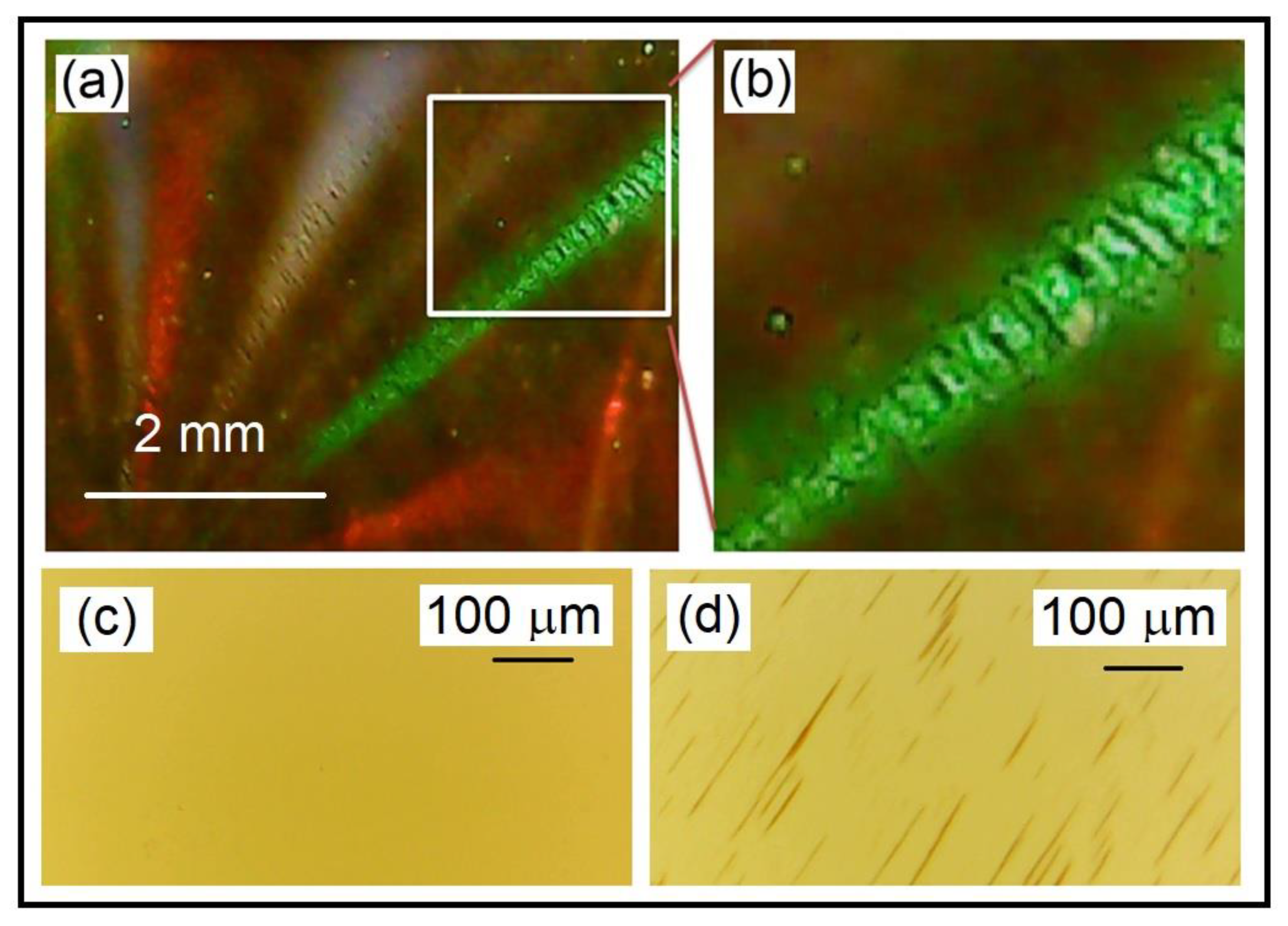 Condensedmatter 08 00027 g002