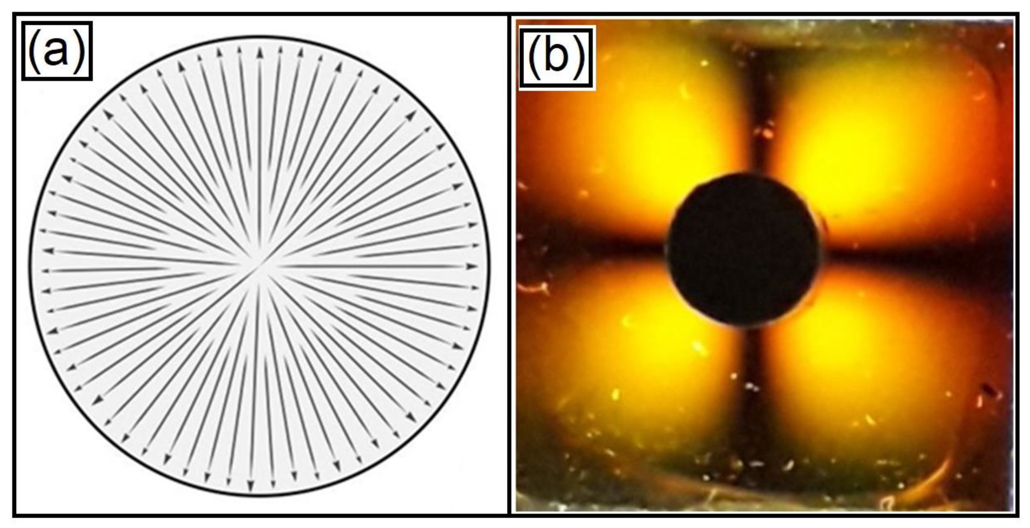Condensedmatter 08 00027 g008