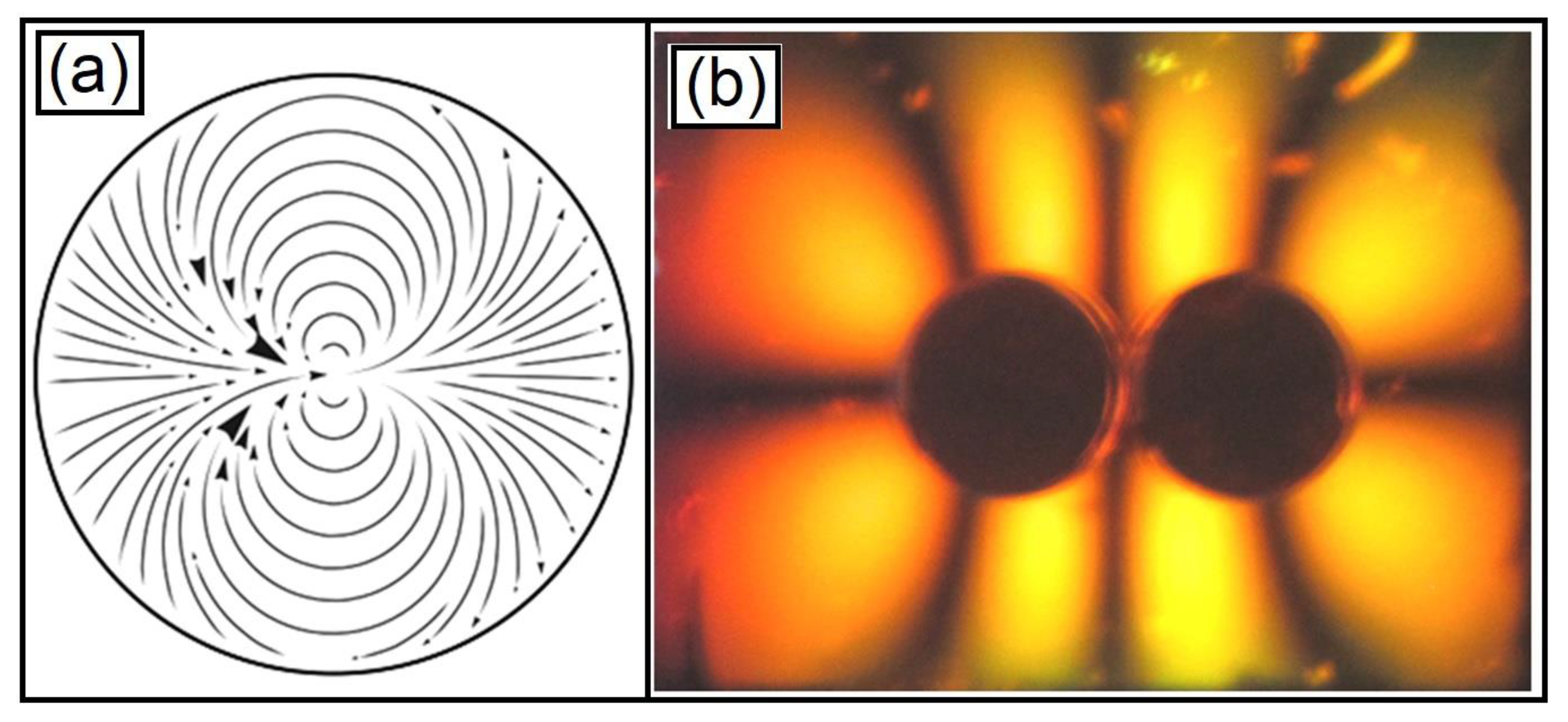 Condensedmatter 08 00027 g009