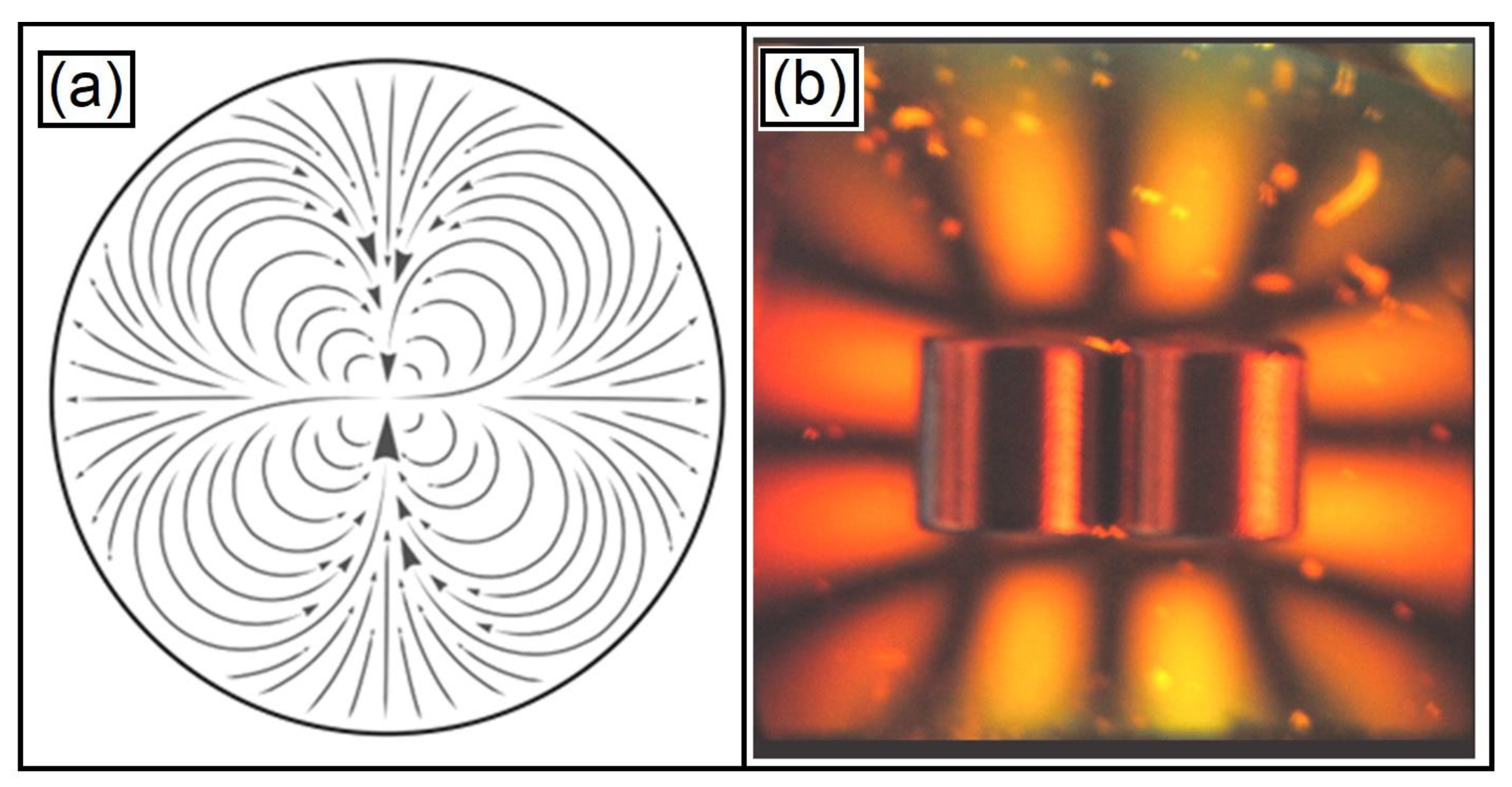 Condensedmatter 08 00027 g010