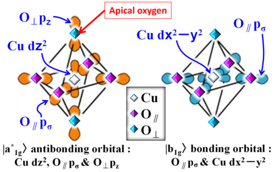 Elucidation of Spin-Correlations, Fermi Surface and Pseudogap in a