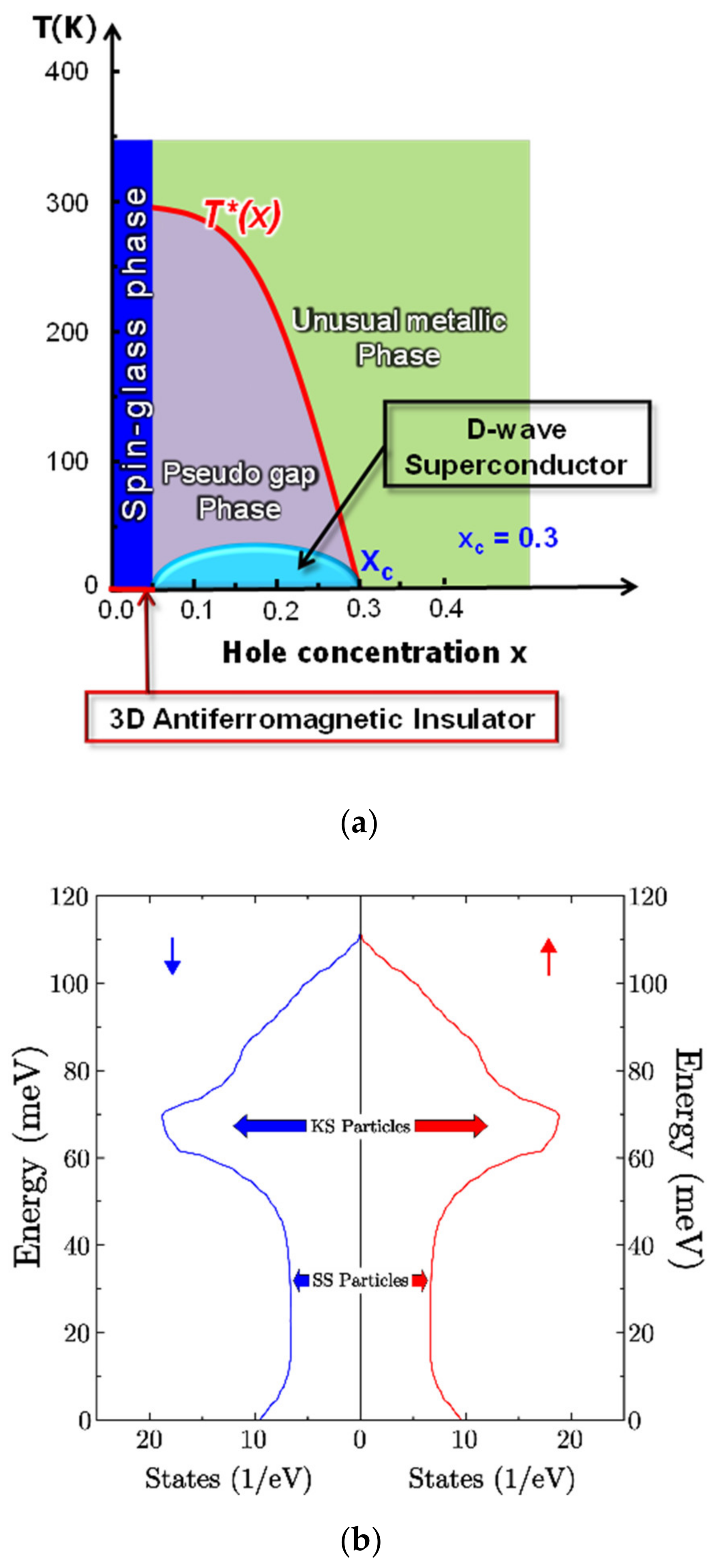 Condensedmatter 08 00033 g005 Condensedmatter 08 00033 g005
