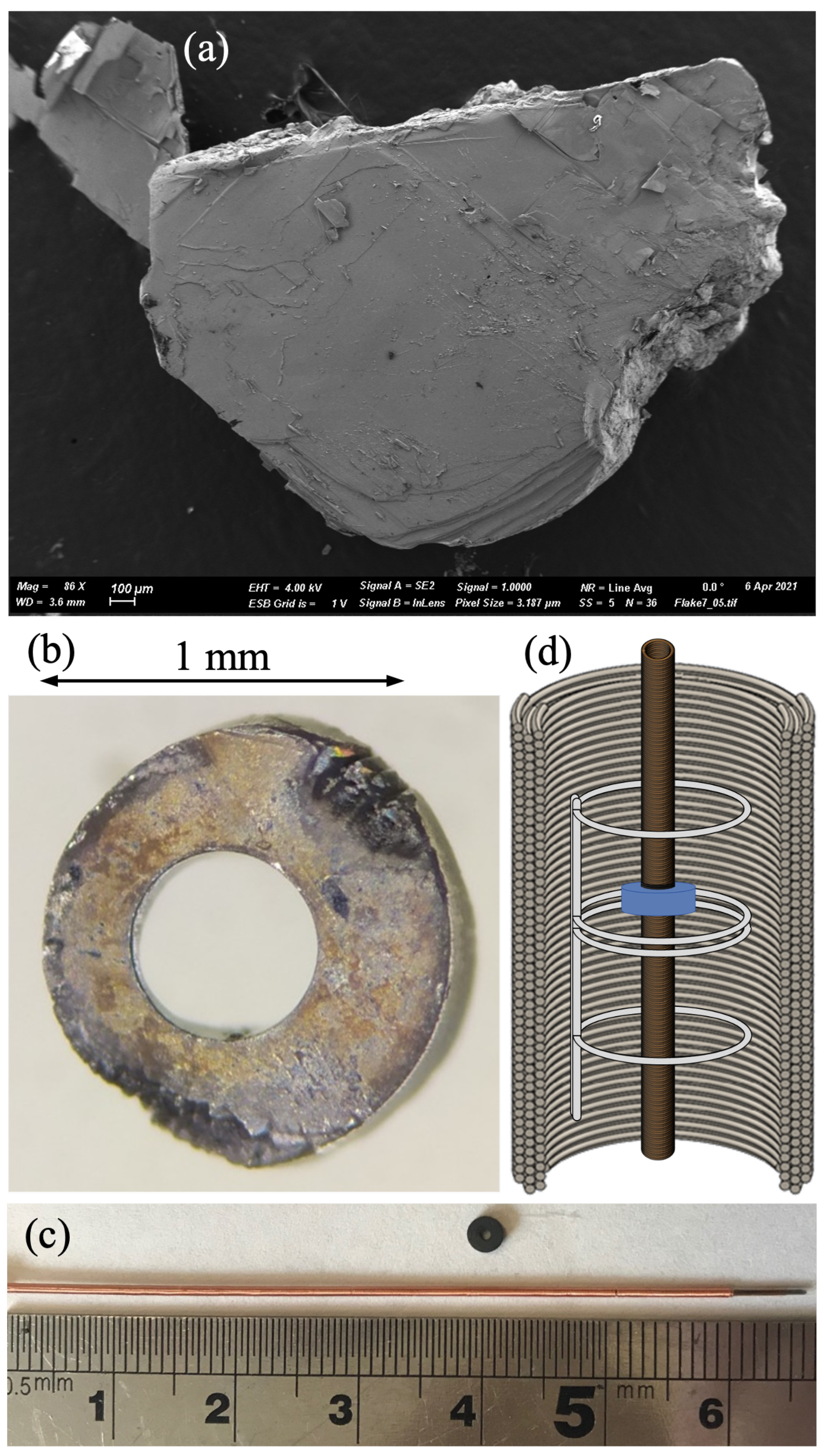 Condensedmatter 08 00039 g001