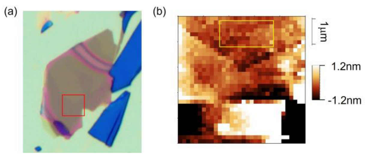 Condensedmatter 08 00059 g005