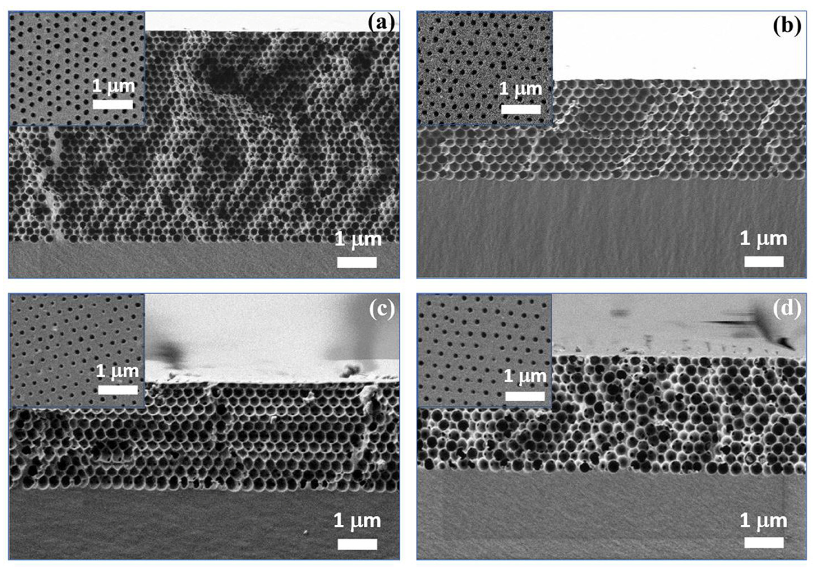 Condensedmatter 08 00068 g001