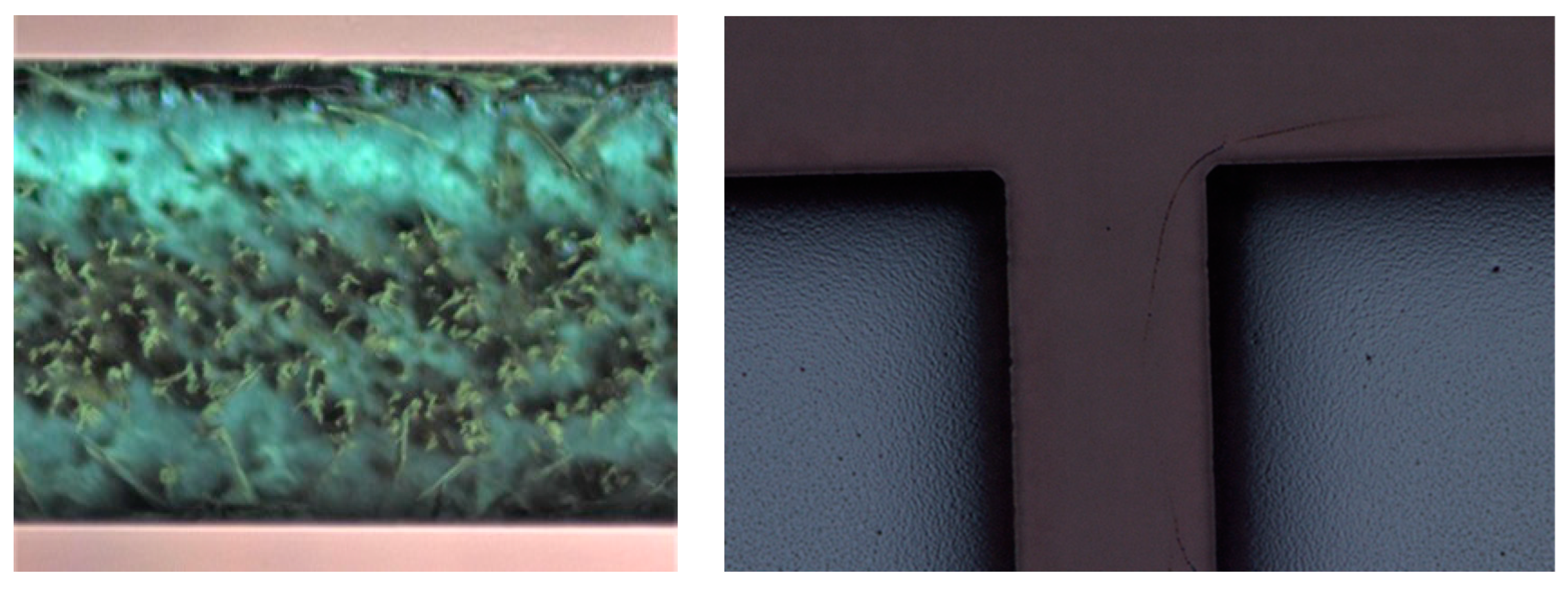 Condensedmatter 08 00108 g017 Condensedmatter 08 00108 g017