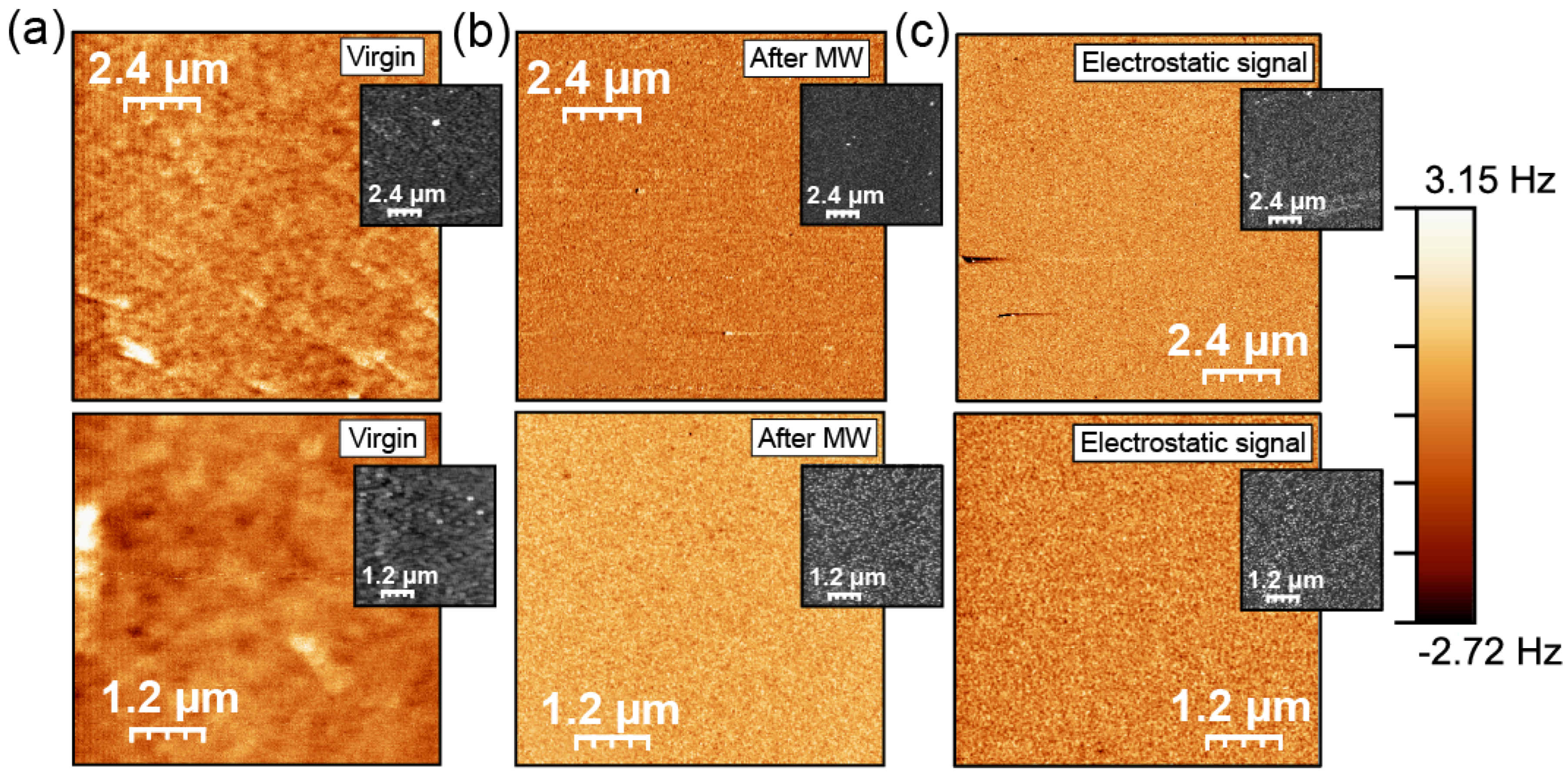 Condensedmatter 09 00007 g004