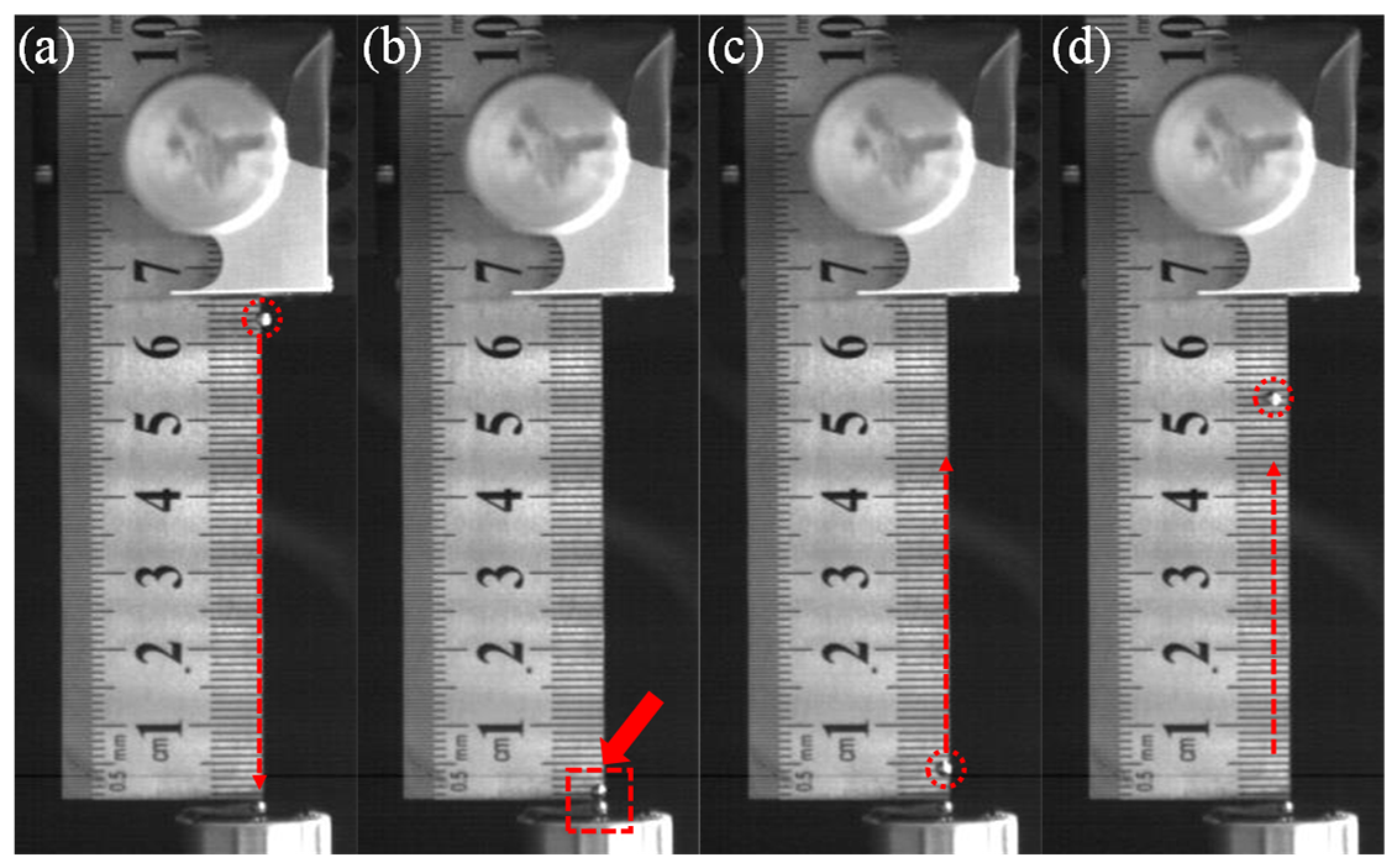 Condensedmatter 09 00018 g005
