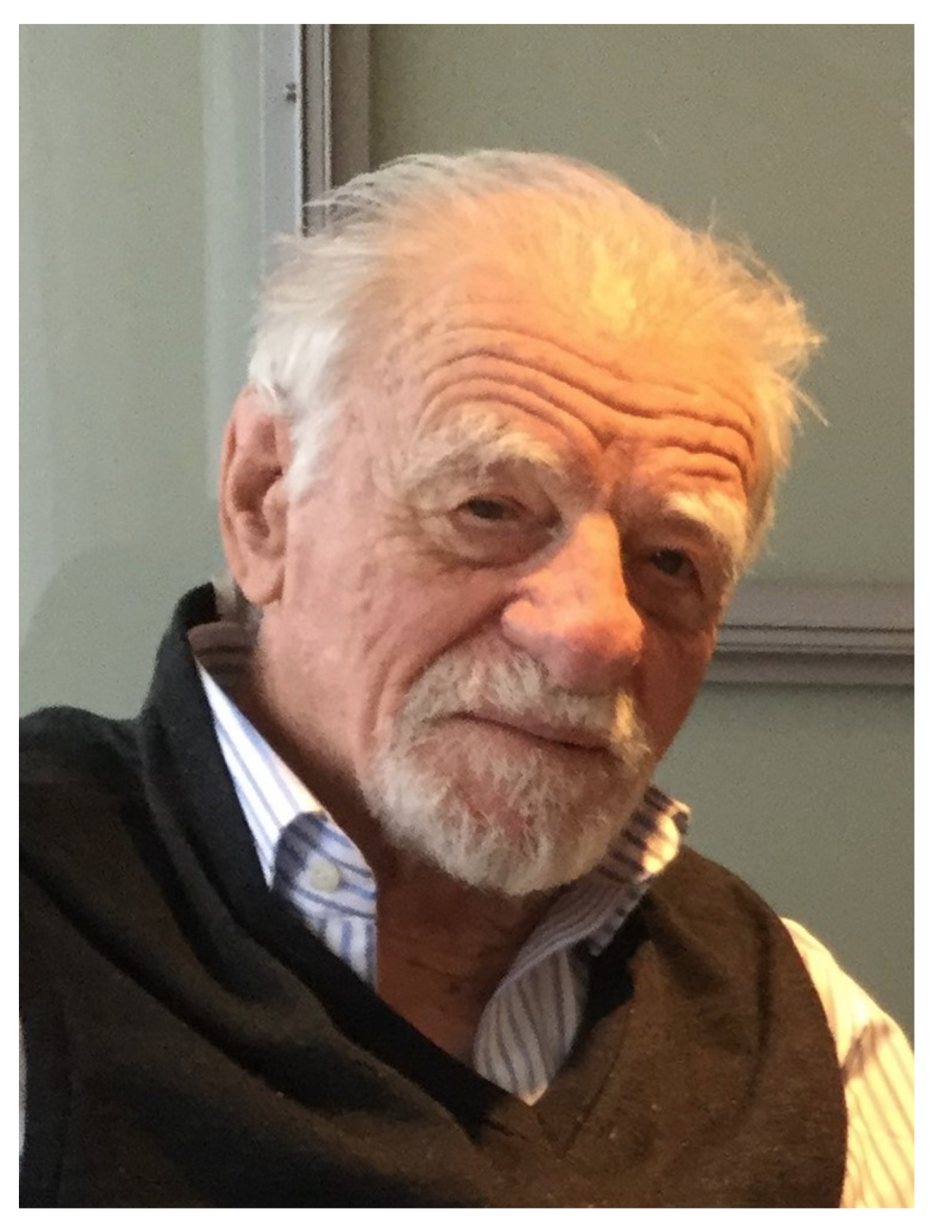 Condensedmatter 09 00024 g001