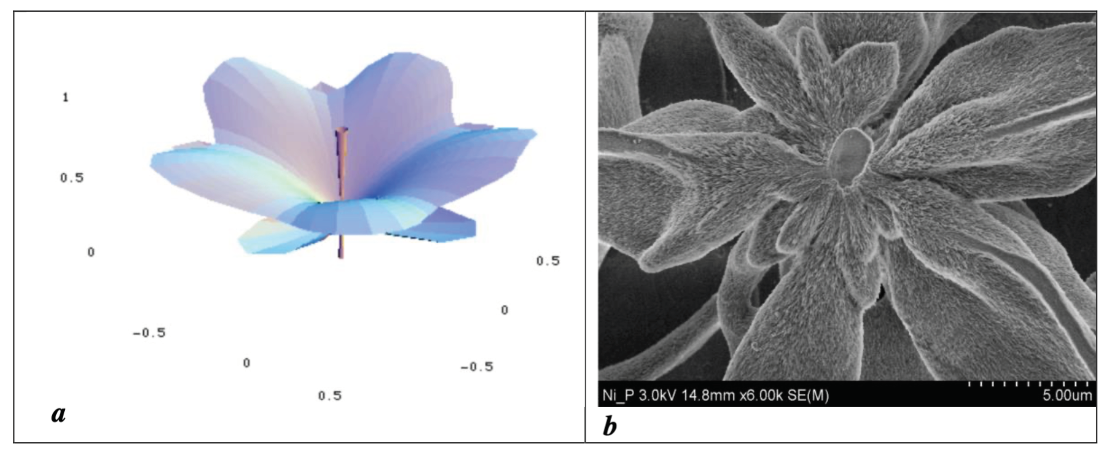 Condensedmatter 09 00029 g004