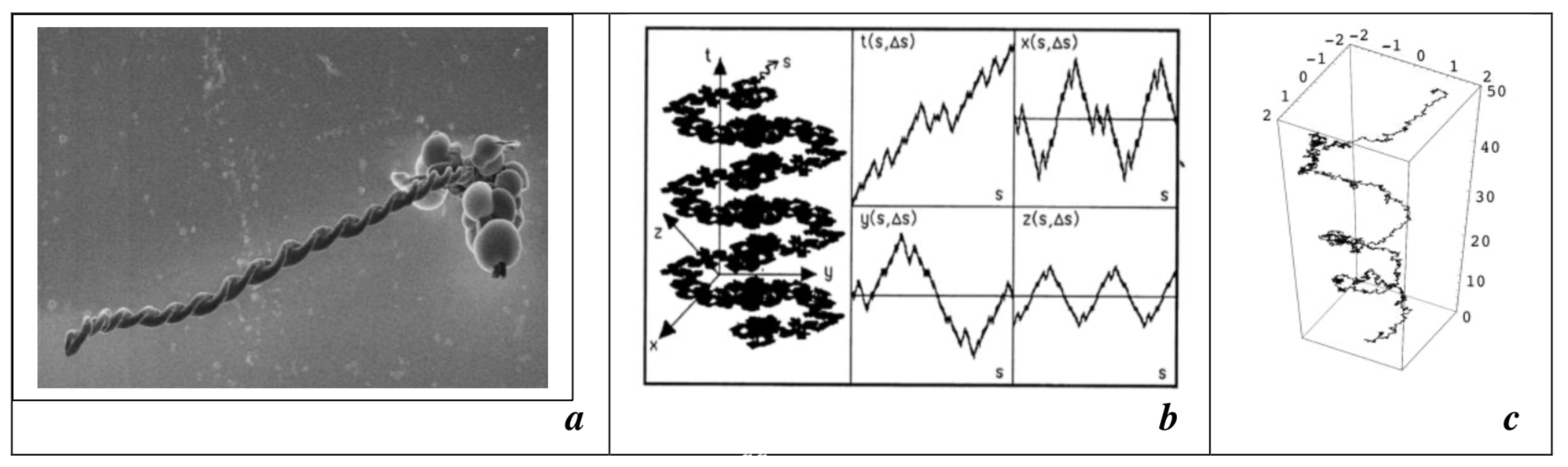 Condensedmatter 09 00029 g009