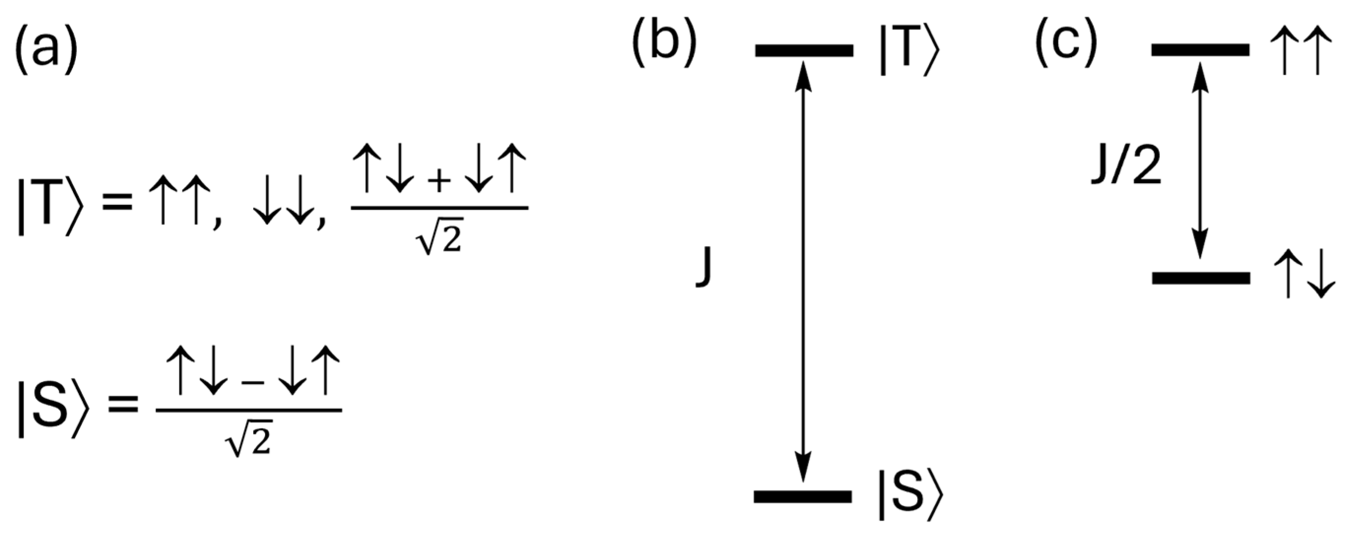 Condensedmatter 09 00045 g003 Condensedmatter 09 00045 g003