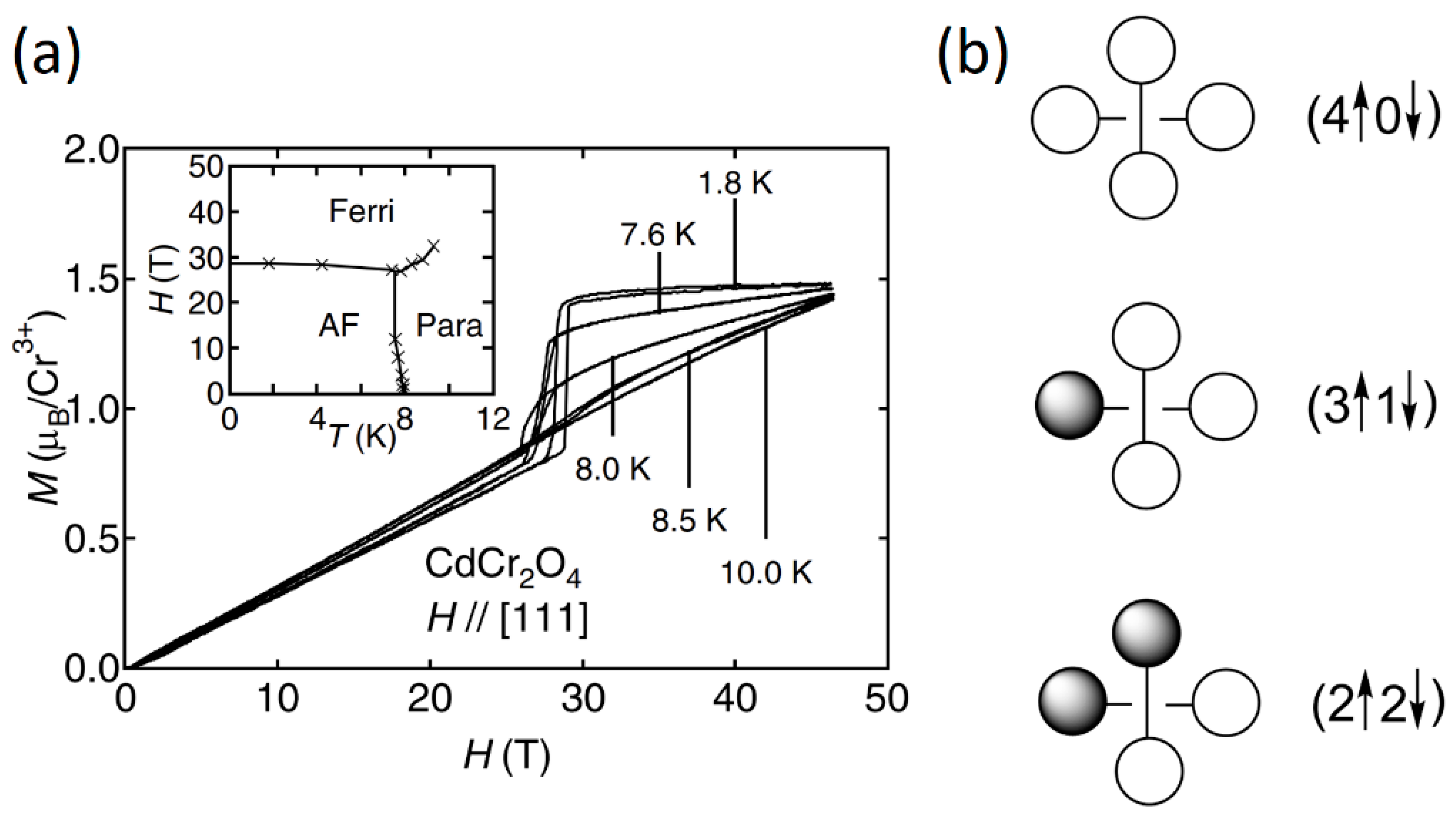 Condensedmatter 09 00045 g016 Condensedmatter 09 00045 g016