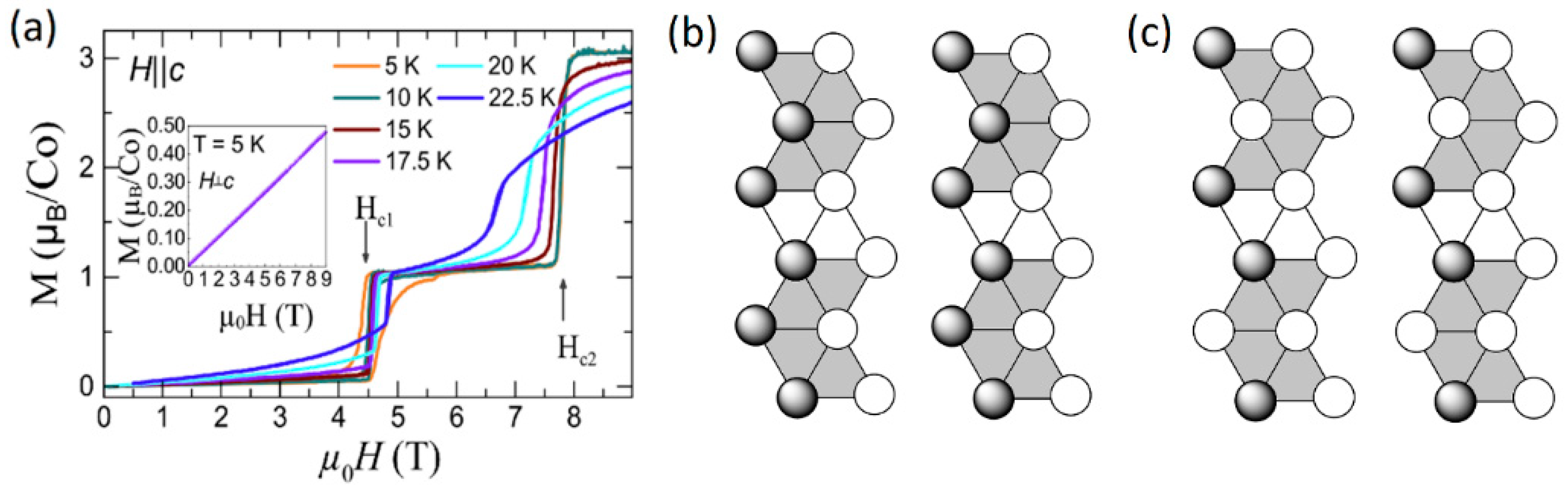 Condensedmatter 09 00045 g018 Condensedmatter 09 00045 g018