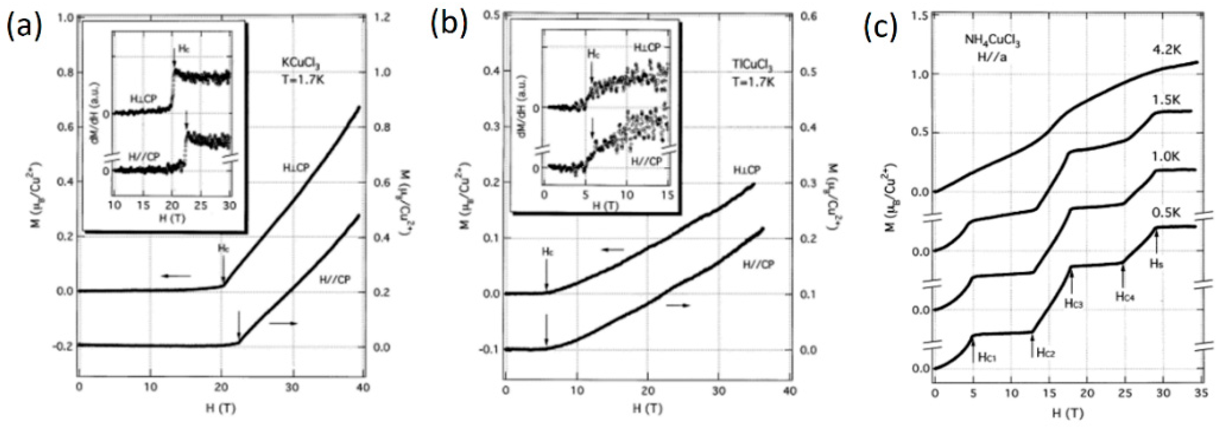 Condensedmatter 09 00045 g024 Condensedmatter 09 00045 g024
