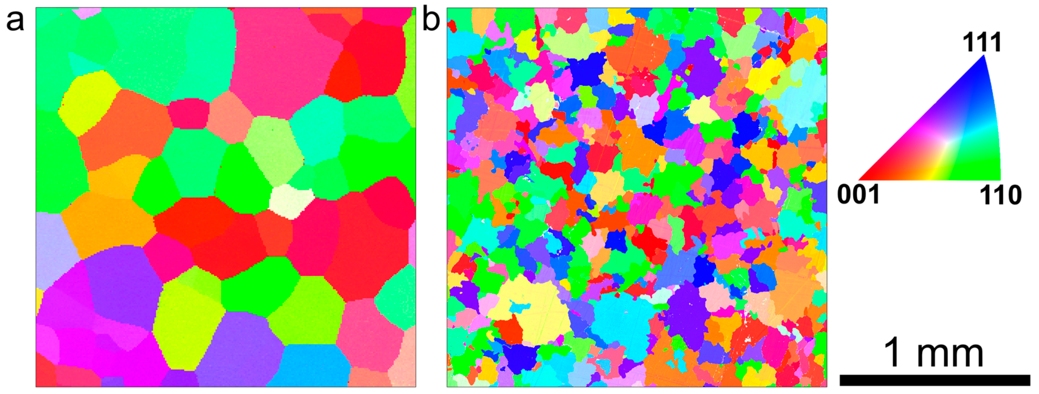 Condensedmatter 10 00008 g001