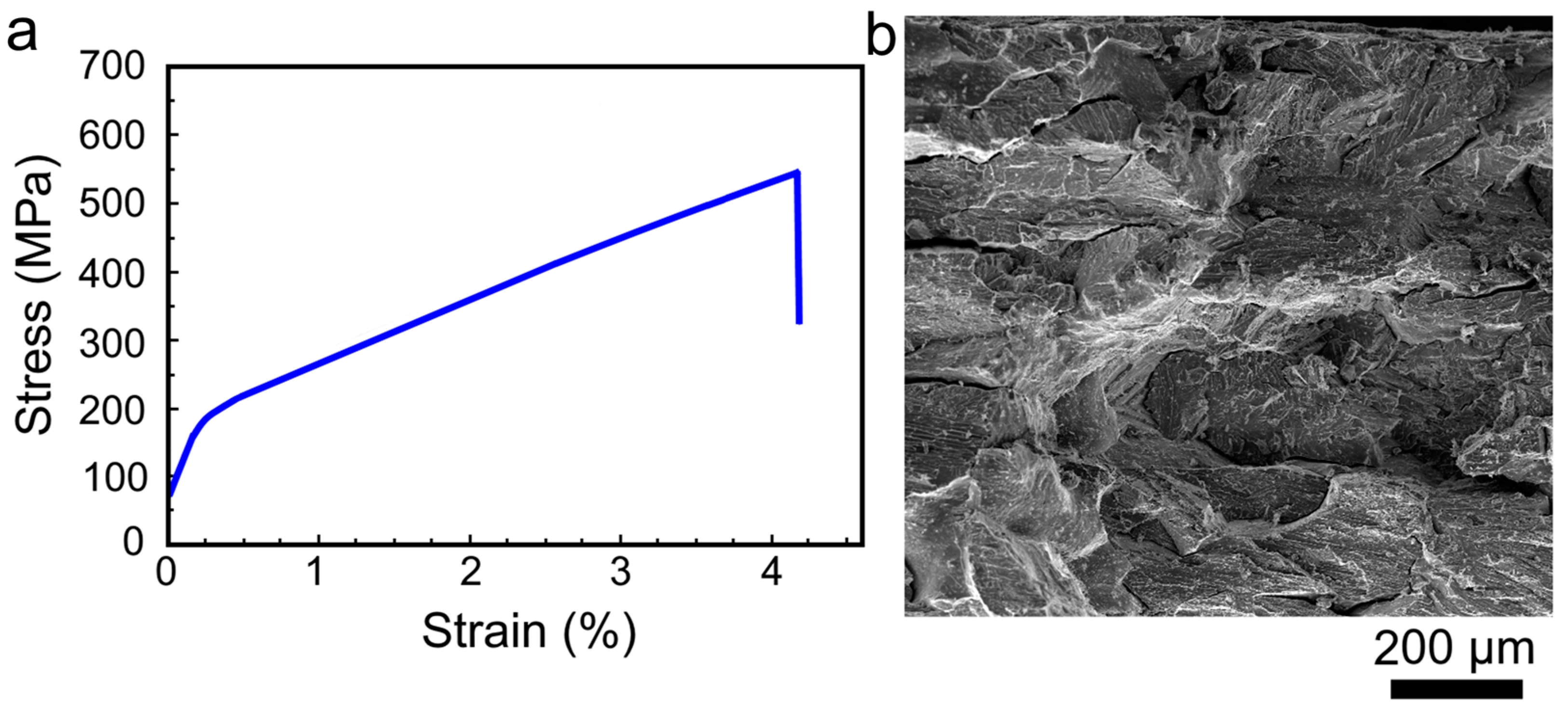 Condensedmatter 10 00008 g009