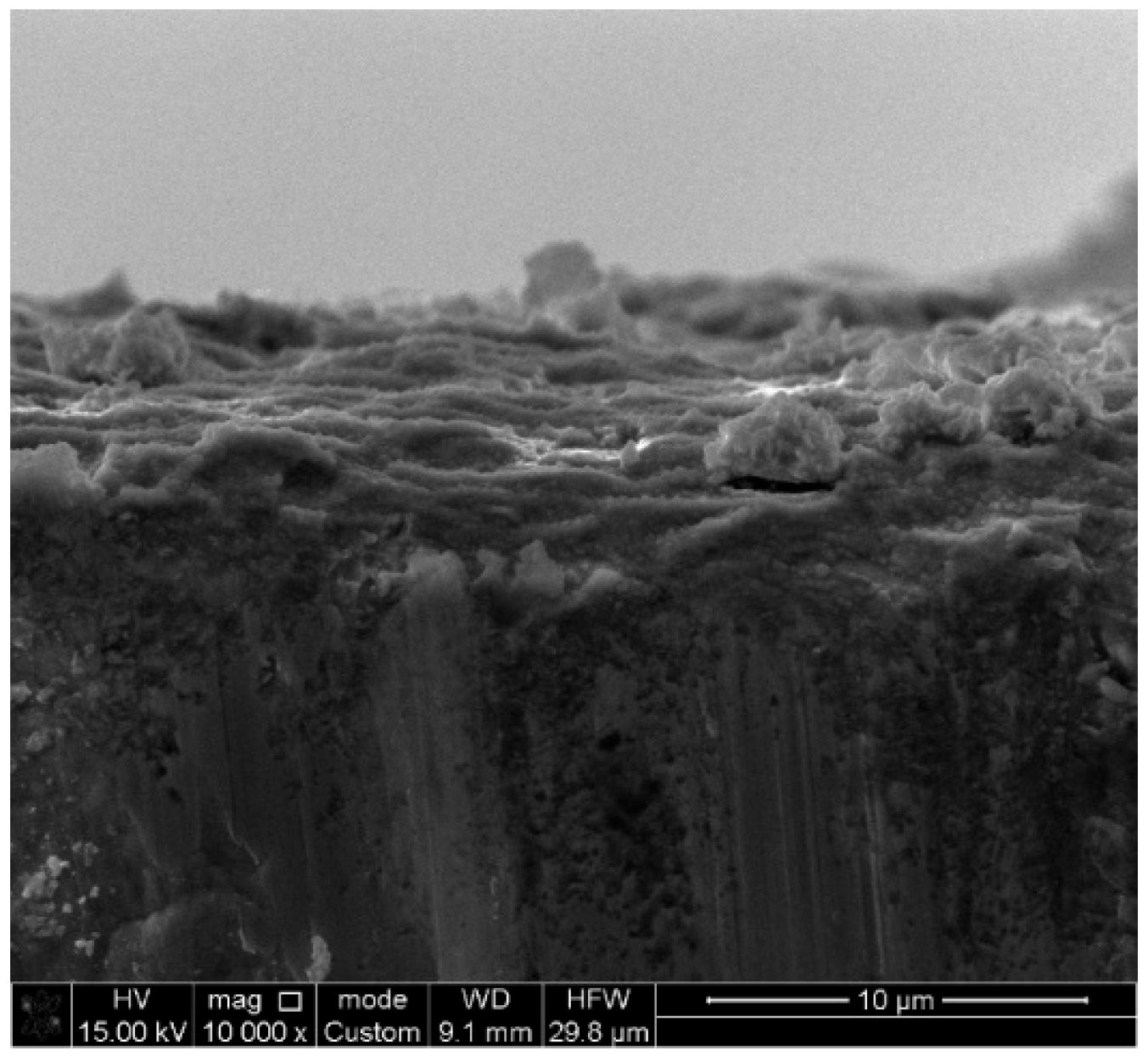 Condensedmatter 10 00019 g004