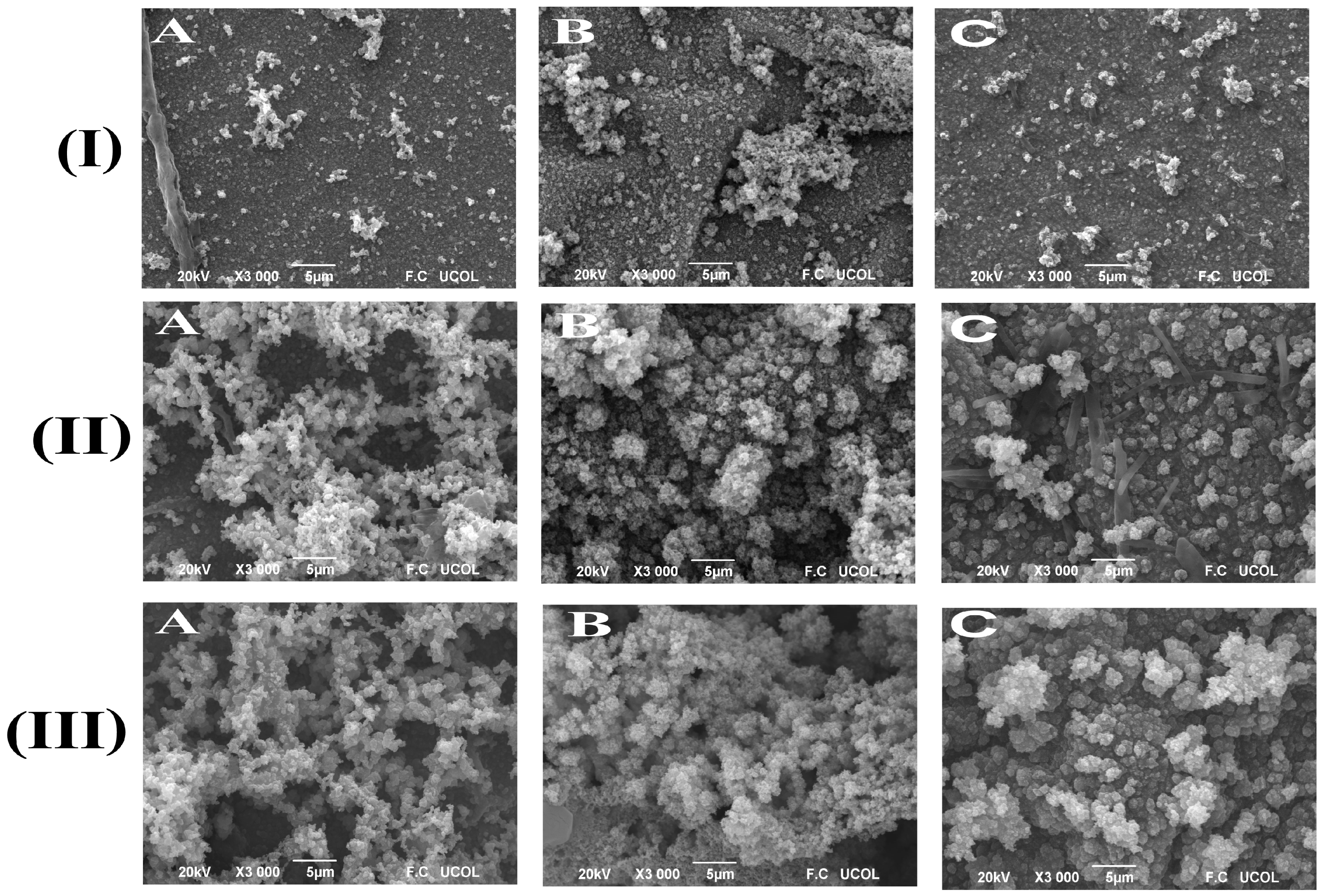 Condensedmatter 10 00026 g004