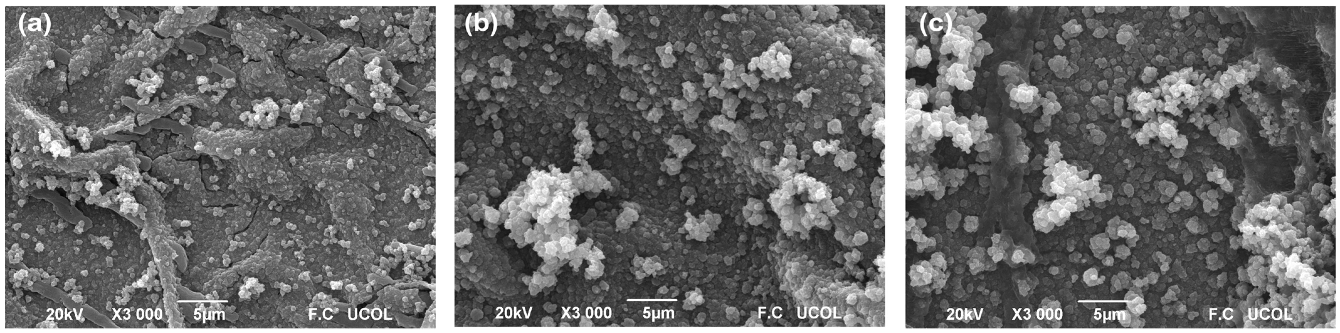 Condensedmatter 10 00026 g012