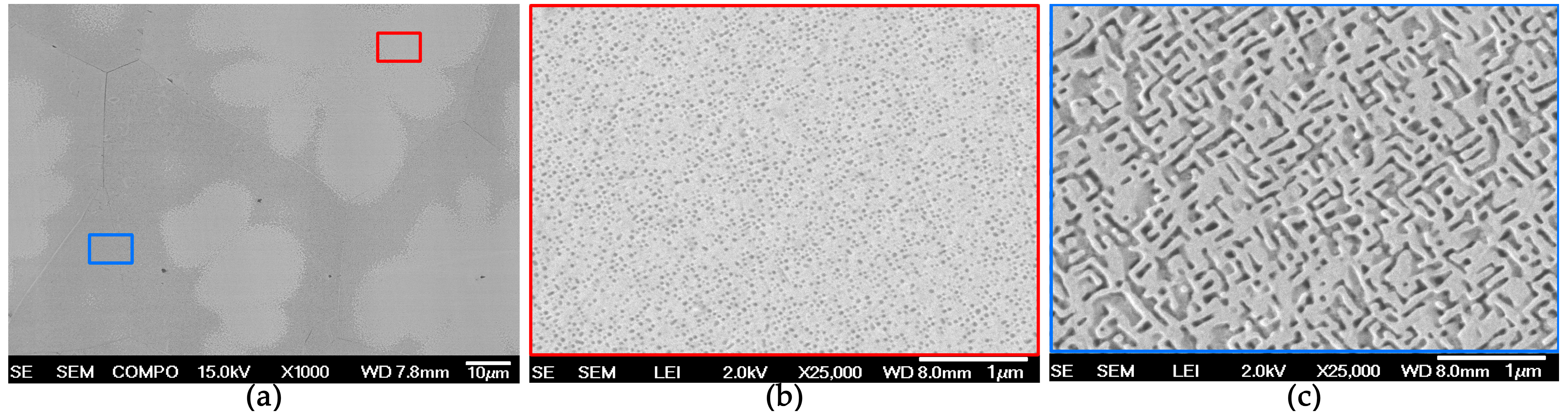 Condensedmatter 10 00031 g001