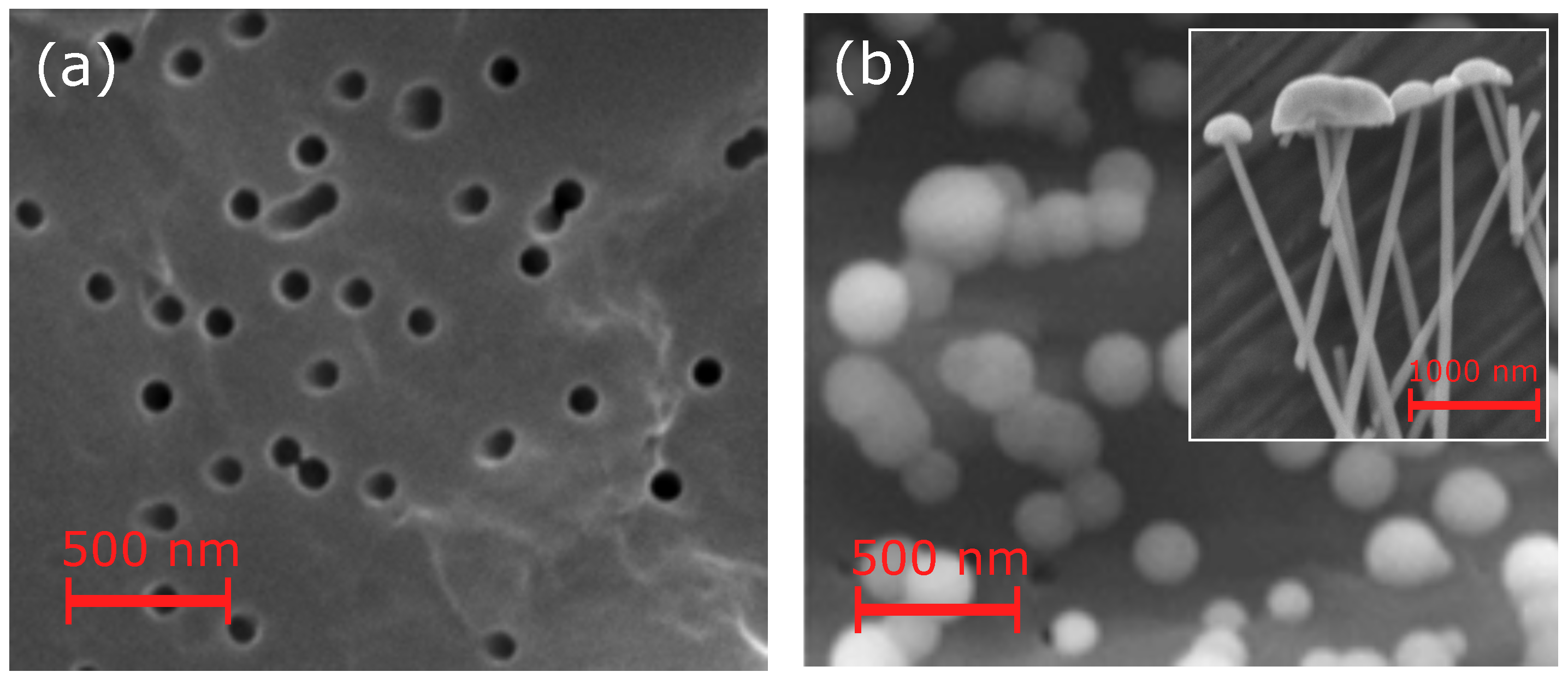 Condensedmatter 10 00057 g001