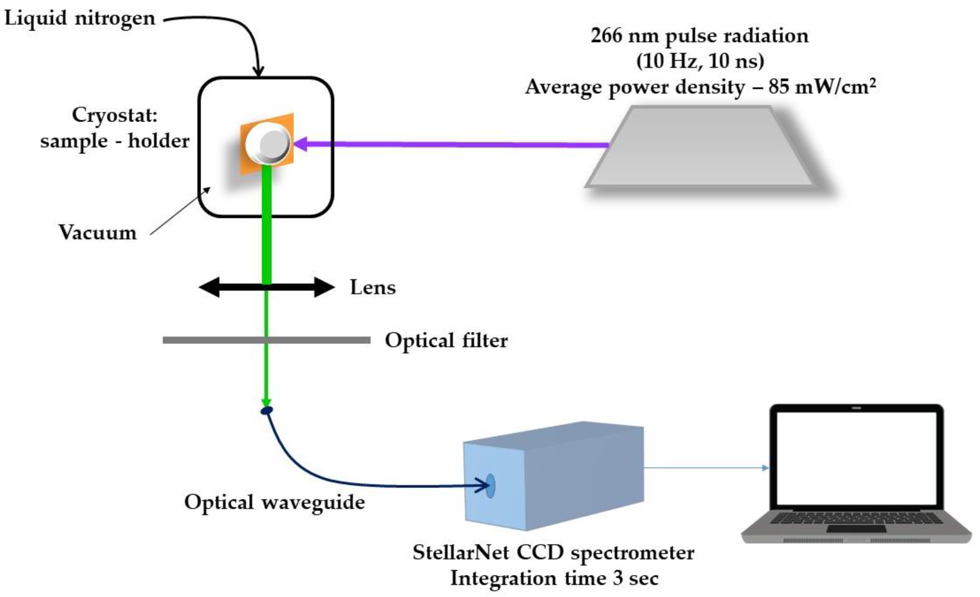 Condensedmatter 10 00062 g011