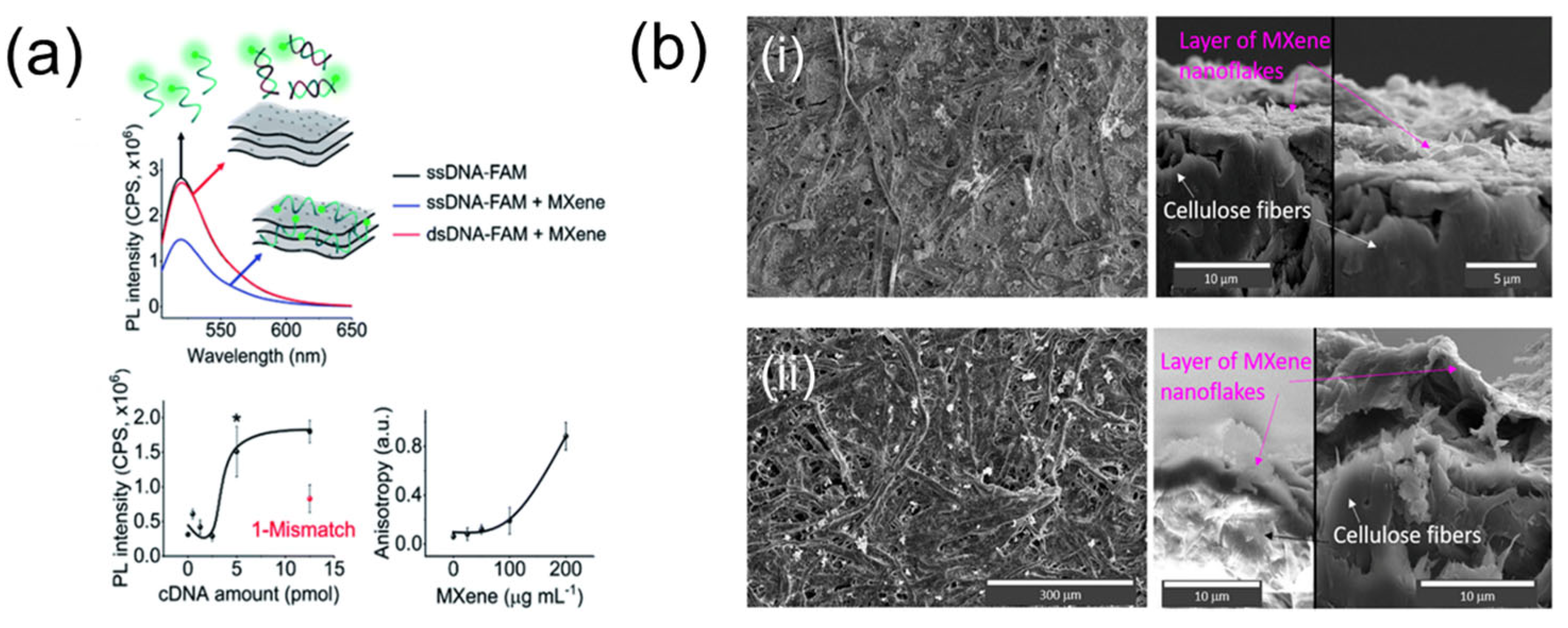 Condensedmatter 11 00021 g011 Condensedmatter 11 00021 g011