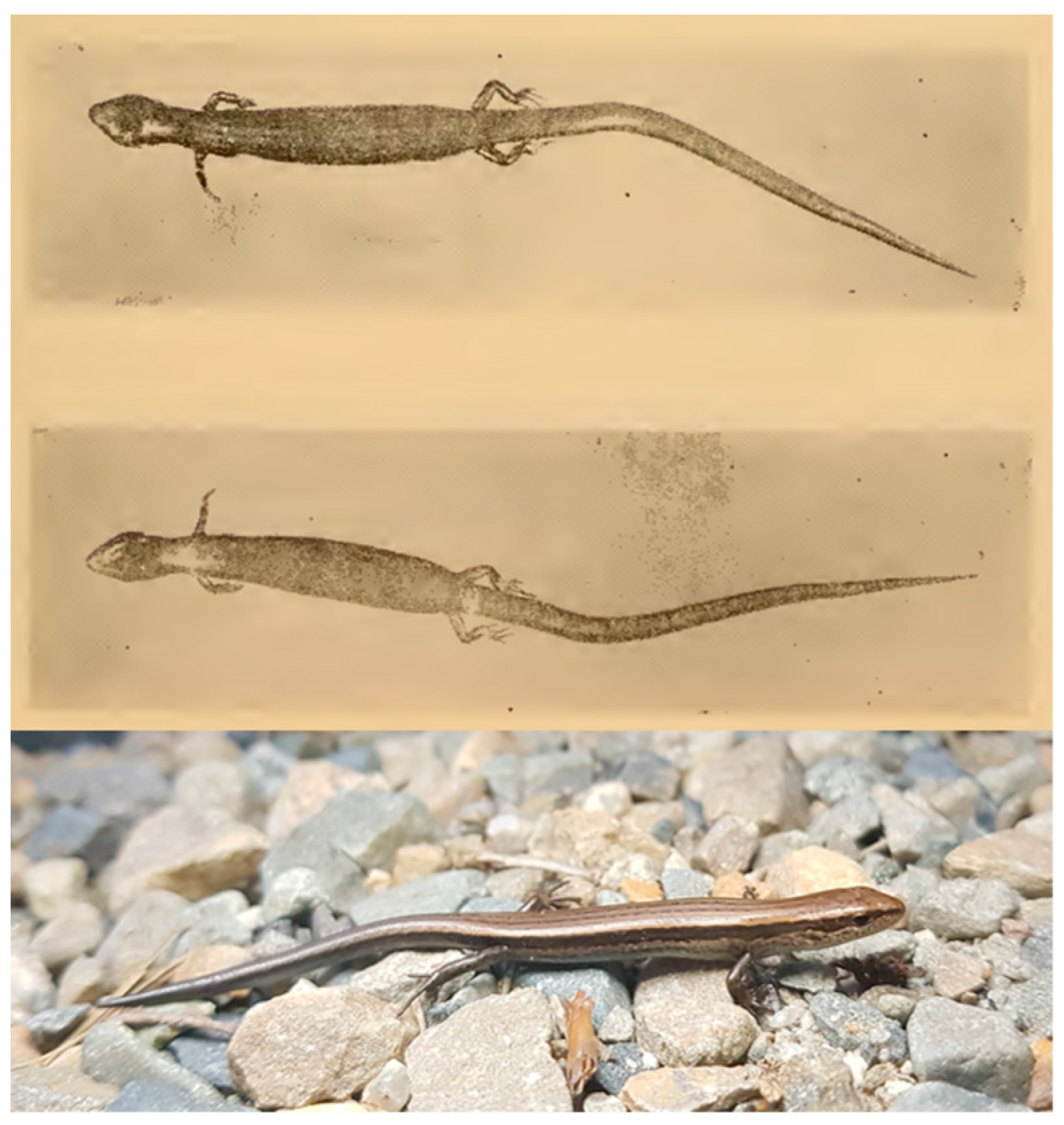 Conservation 01 00005 g001