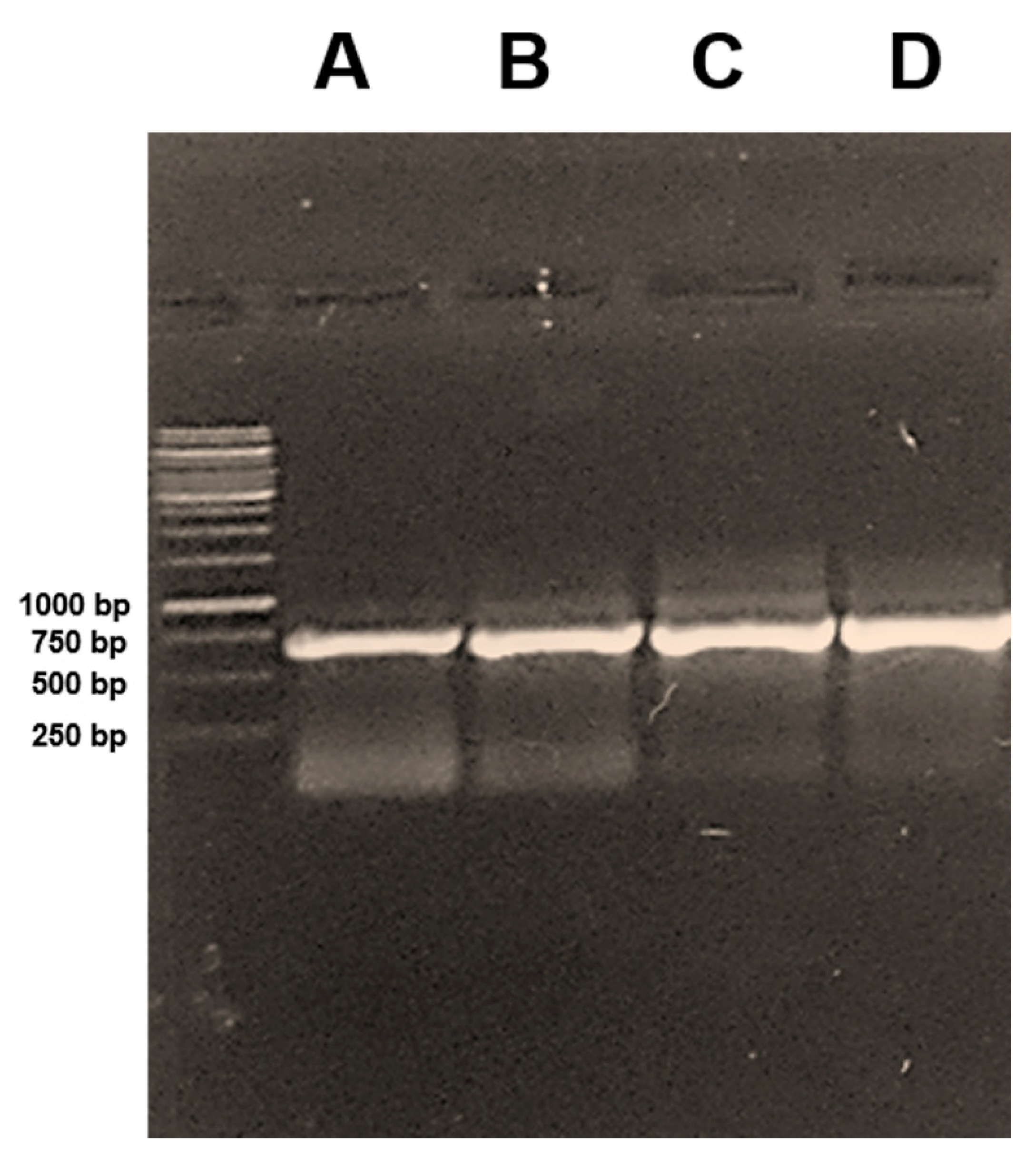 Conservation 01 00018 g003