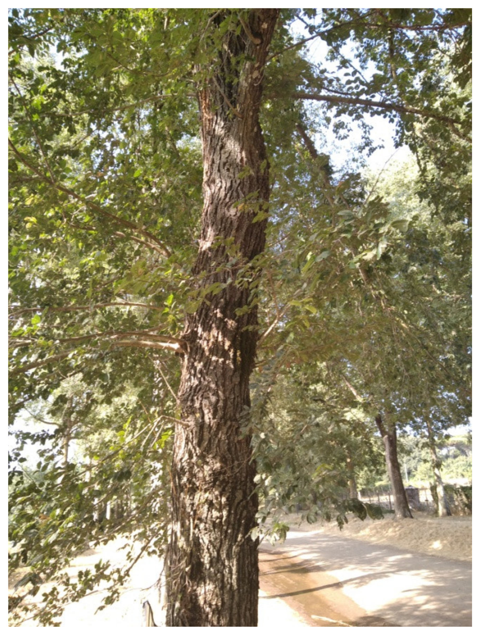 Conservation 02 00001 g001 550