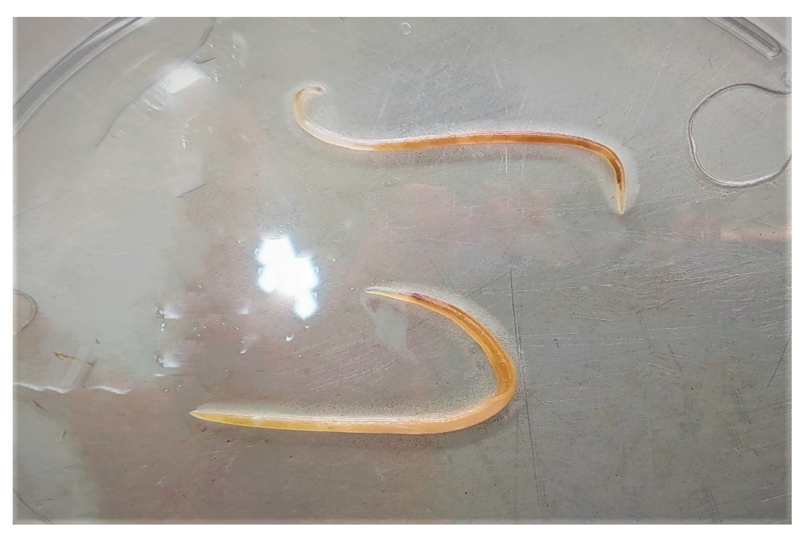 Conservation 02 00010 g001