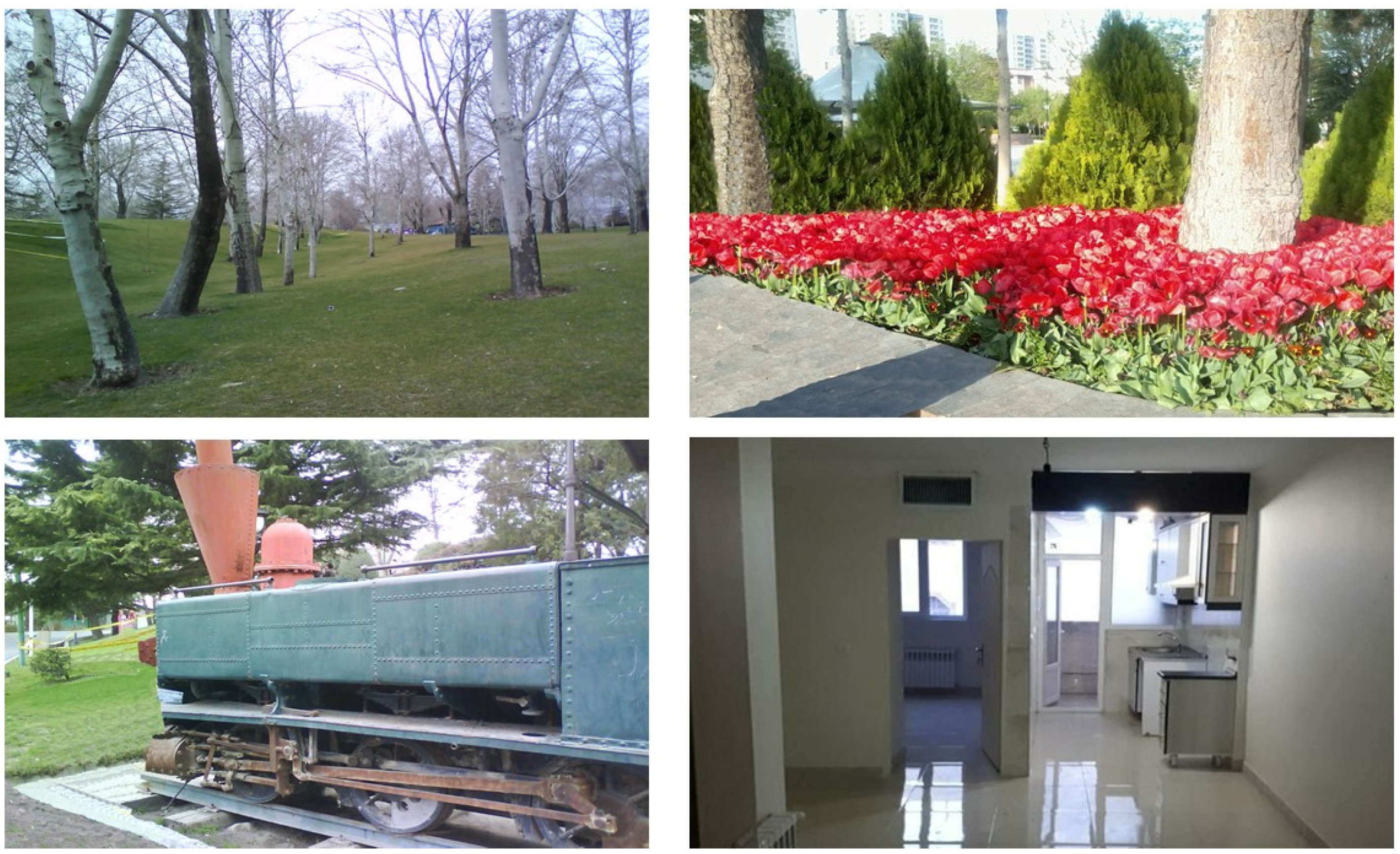 Conservation 02 00014 g002 550