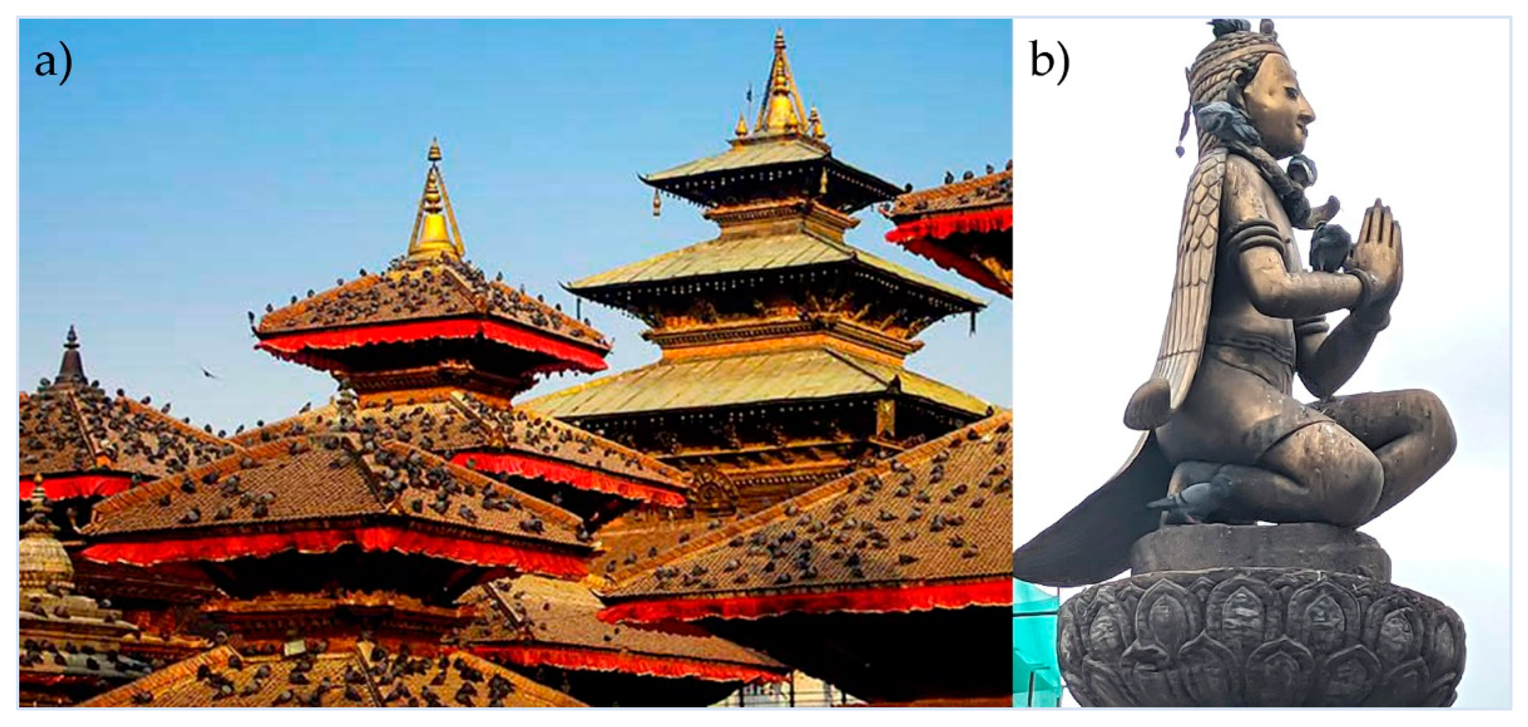 Conservation 02 00015 g002