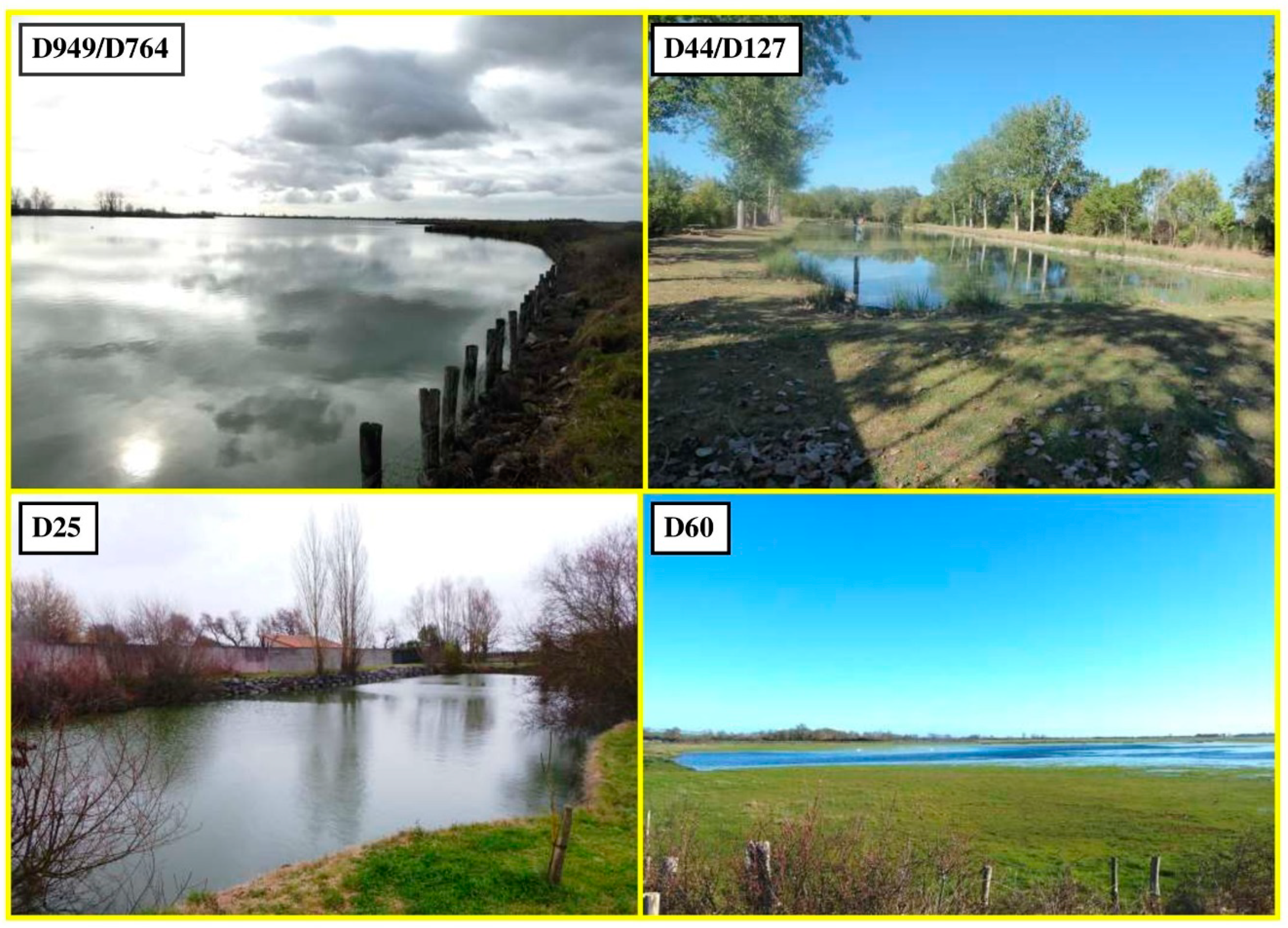 Conservation 02 00017 g003