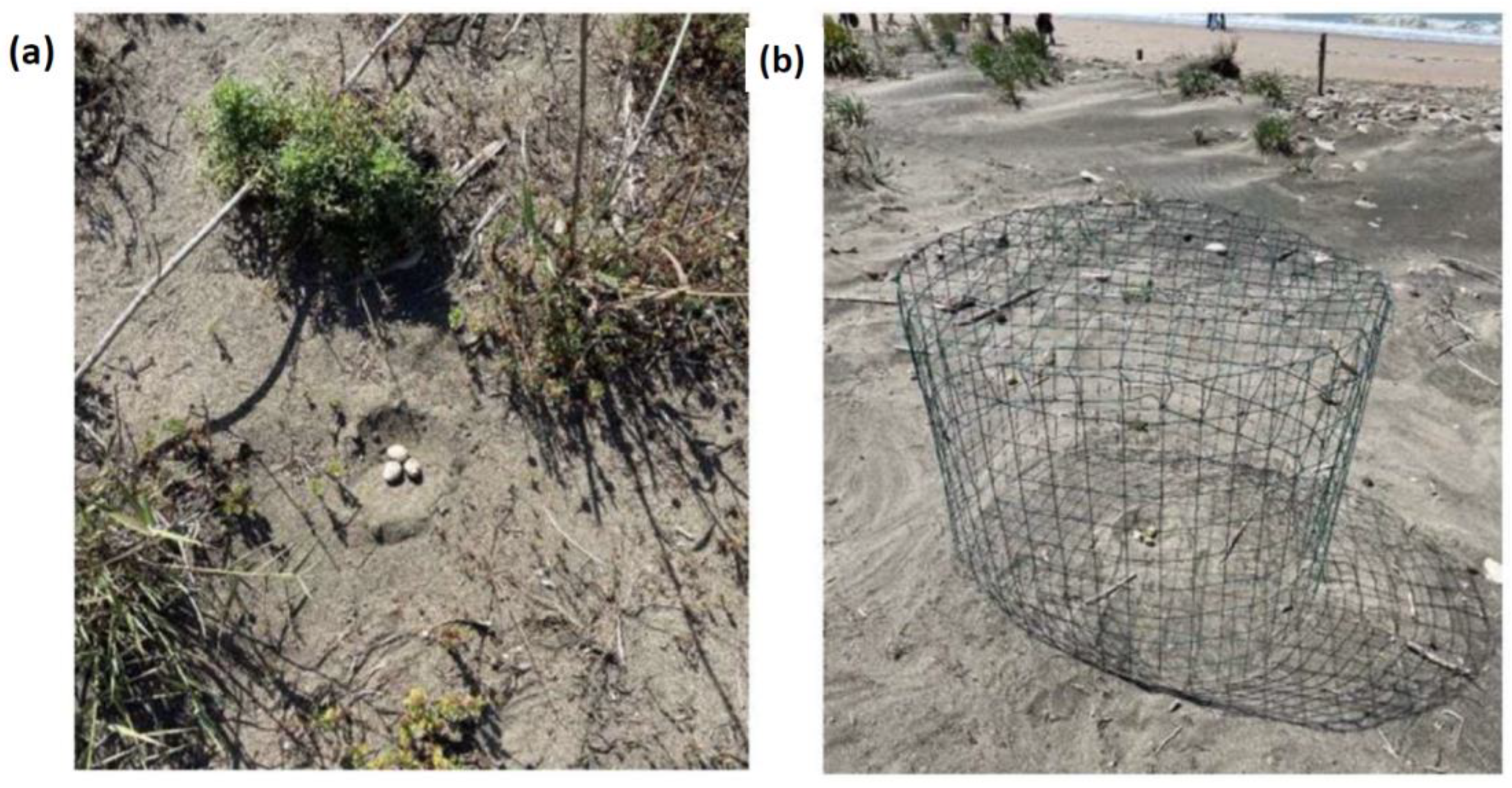 Conservation 02 00030 g001 550