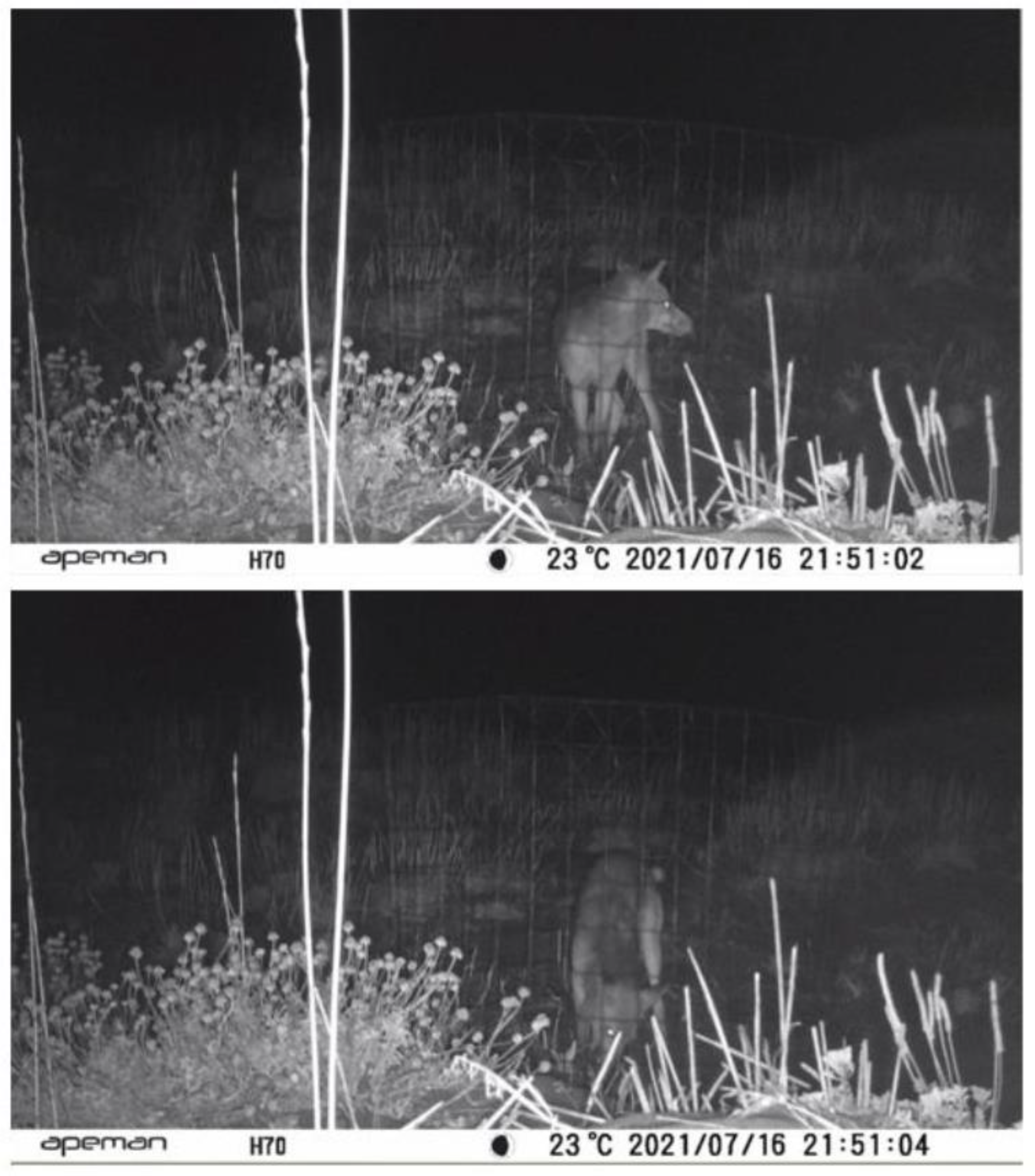 Conservation 02 00030 g003 550